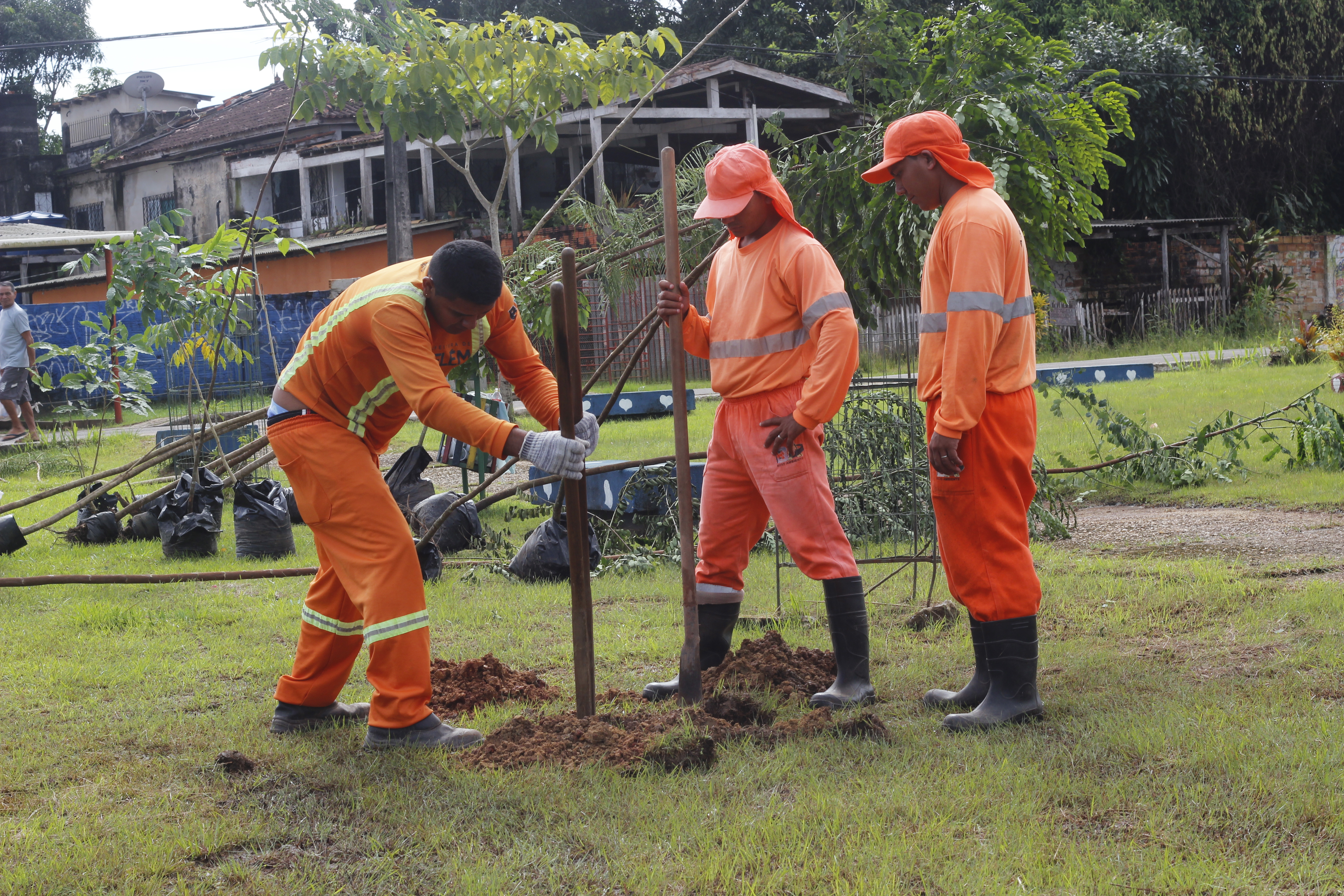 Projeto promove o plantio de novas árvores em praça de Outeiro