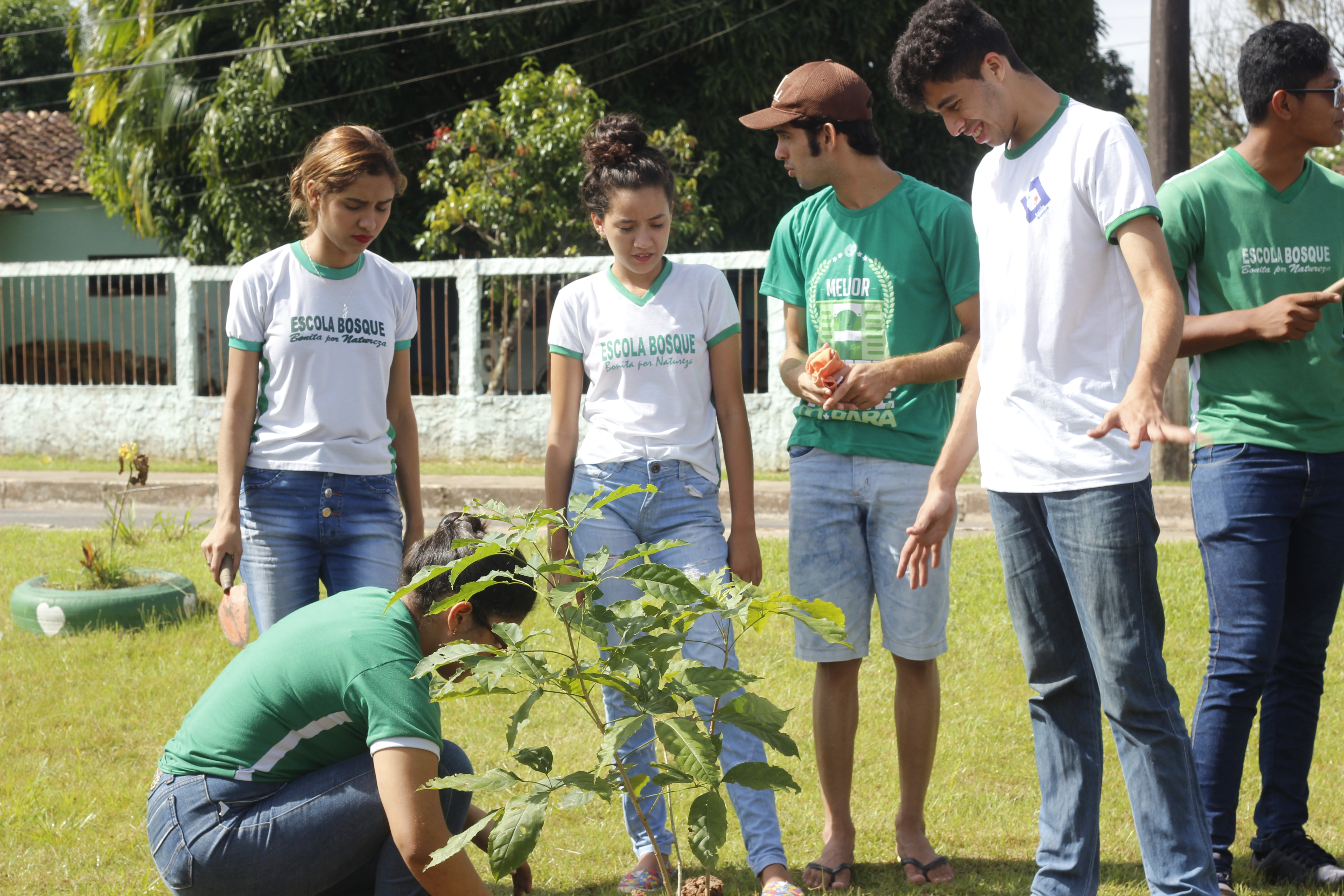 Projeto promove o plantio de novas árvores em praça de Outeiro