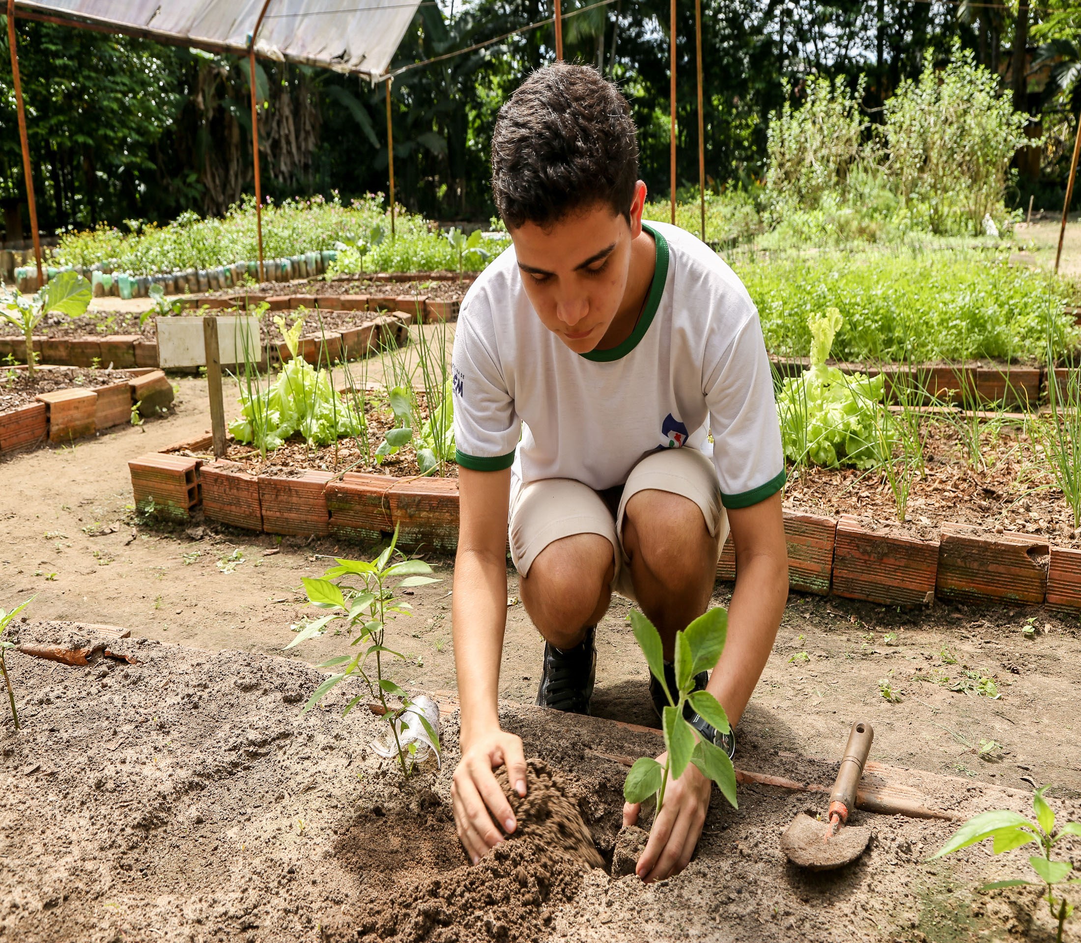 Funbosque comemora 22 anos e anuncia curso de gastronomia para 2019