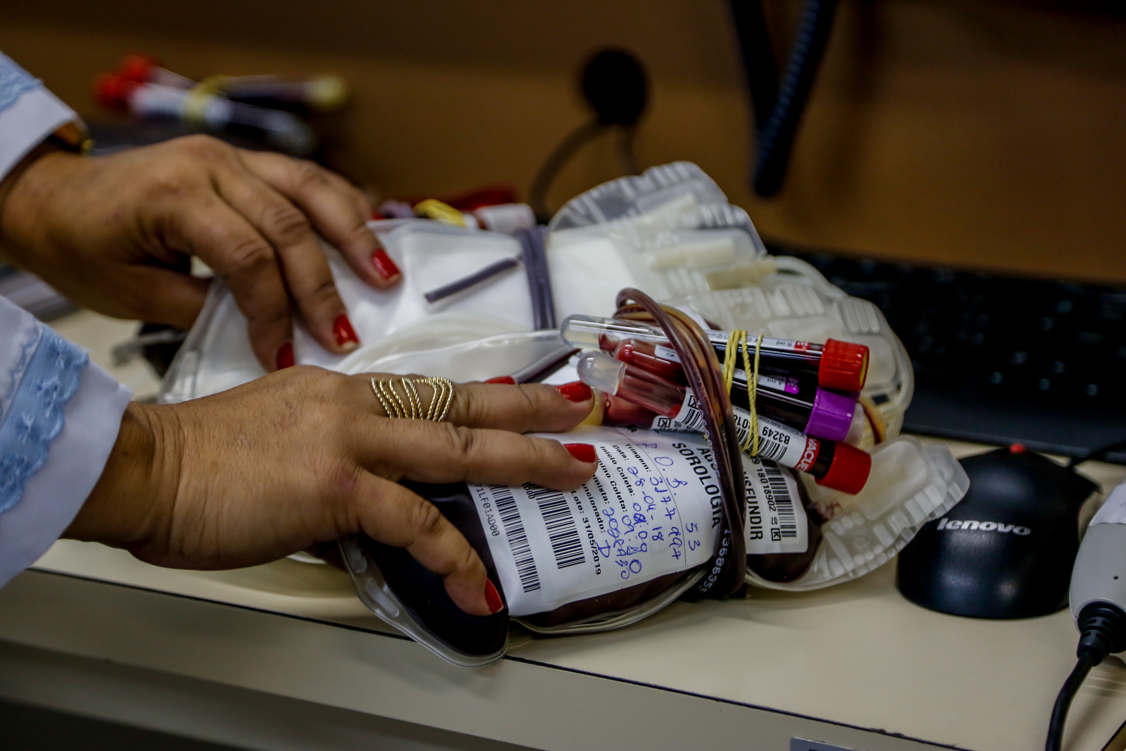 Voluntários da Defesa Civil Municipal doam sangue ao Hemopa