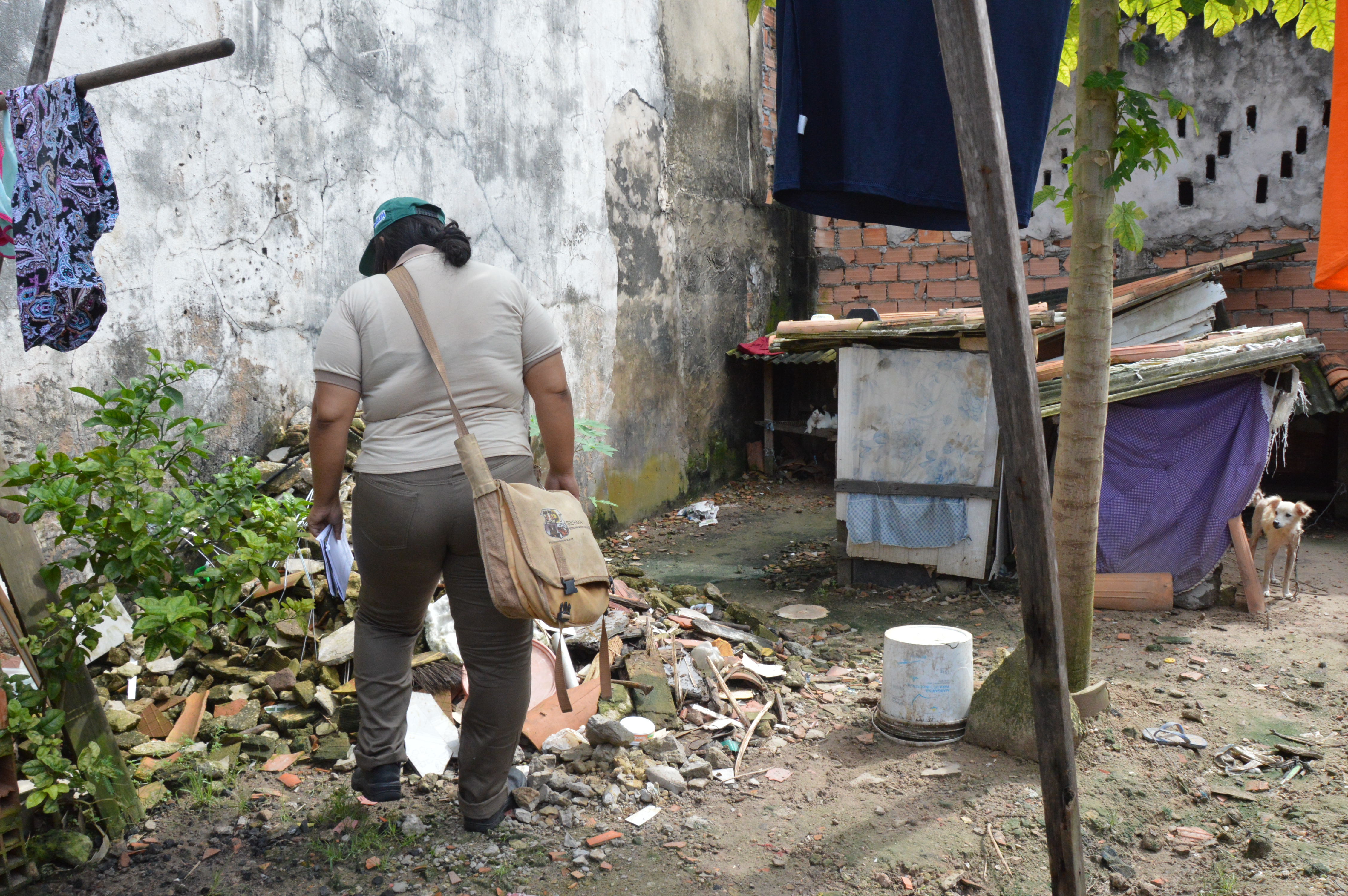 Sesma reforça ações de prevenção contra o mosquito Aedes Aegypti