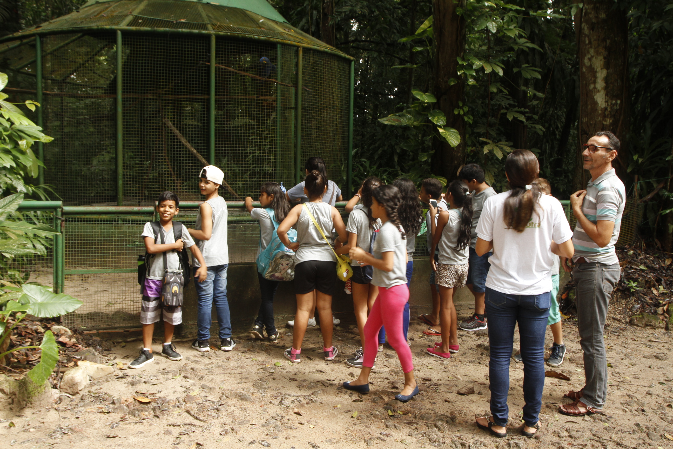 Dias do Pau Brasil e das Aves Migratórias são celebrados no Bosque