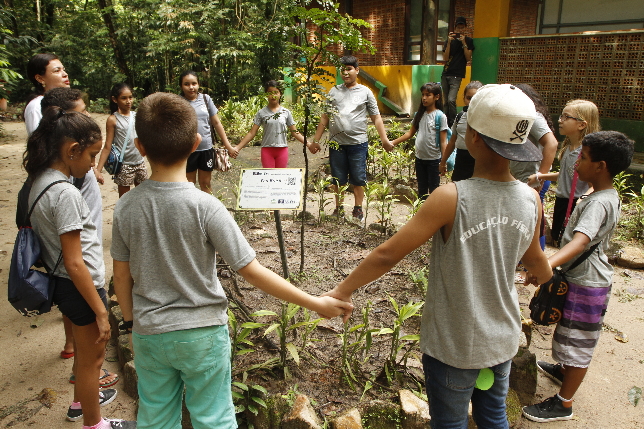 Dias do Pau Brasil e das Aves Migratórias são celebrados no Bosque