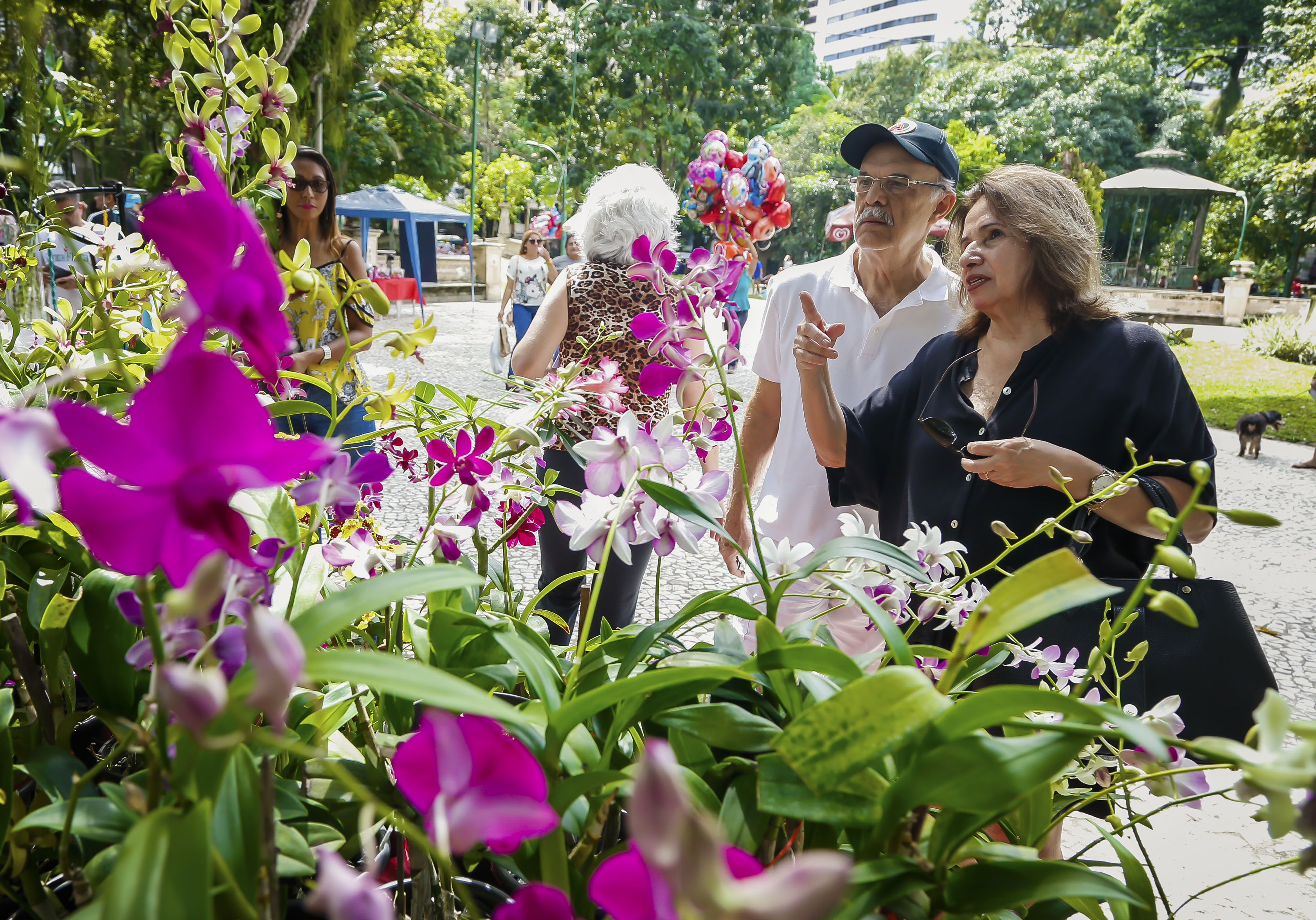 Praça Batista Campos recebe a 7ª Feira de Flores e Chocolates