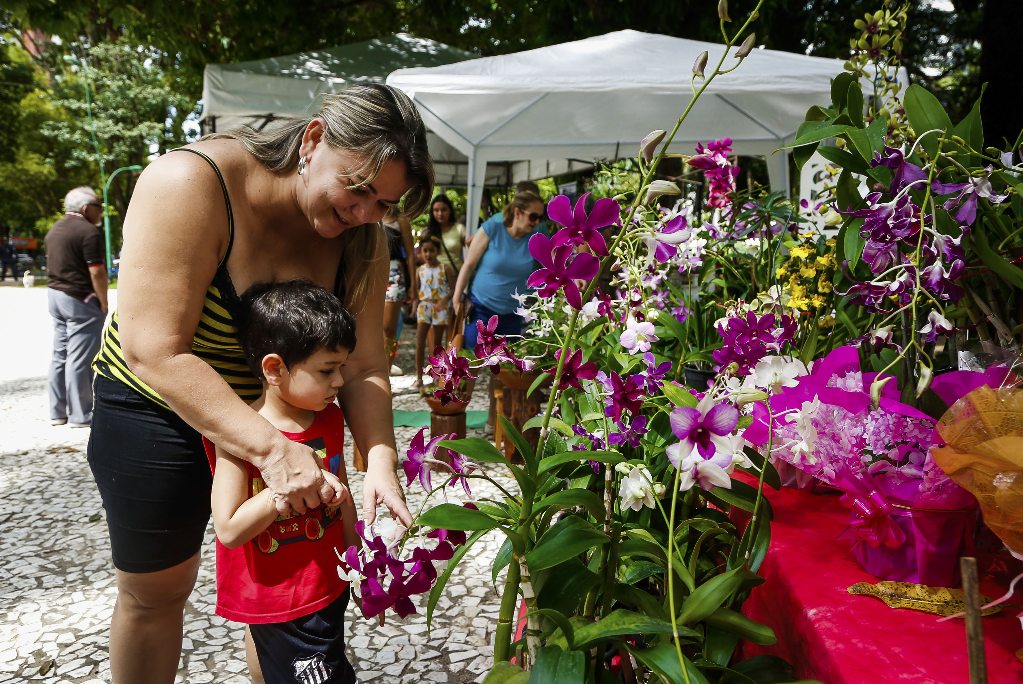 Praça Batista Campos recebe a 7ª Feira de Flores e Chocolates