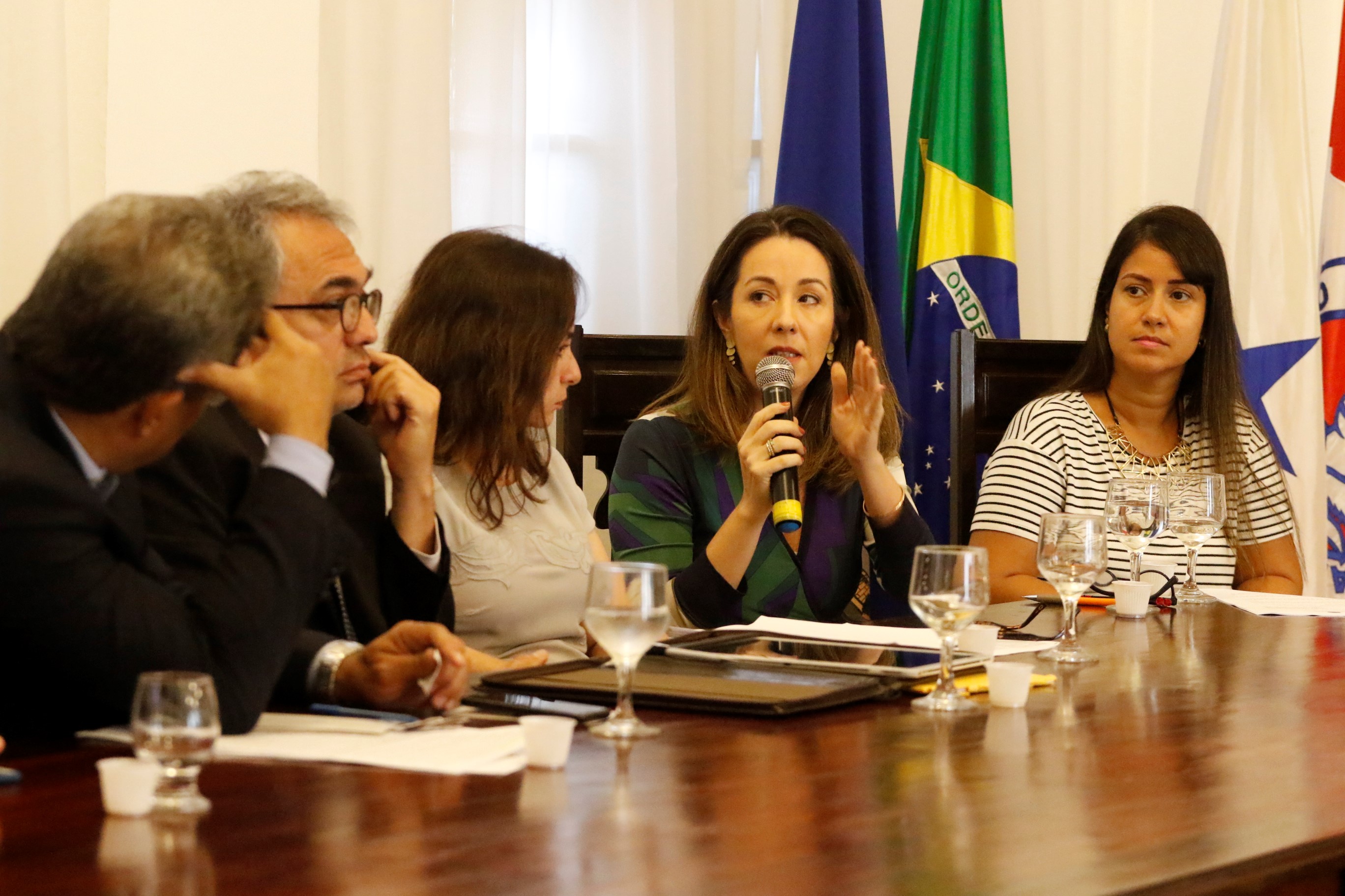 Alteração da norma para construção de passarelas particulares é debatida