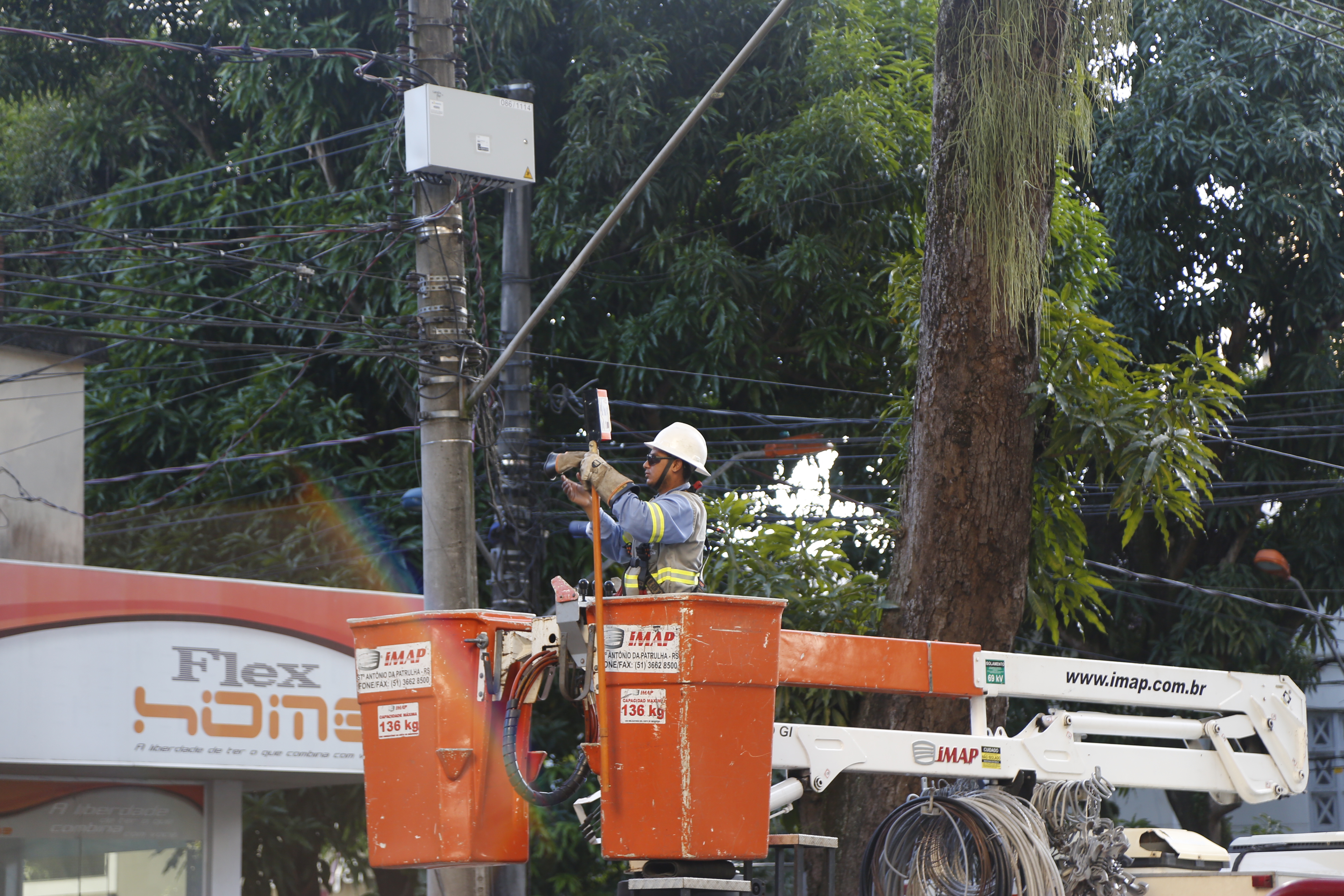 Prefeitura faz grande operação de poda de mangueiras no bairro de Nazaré