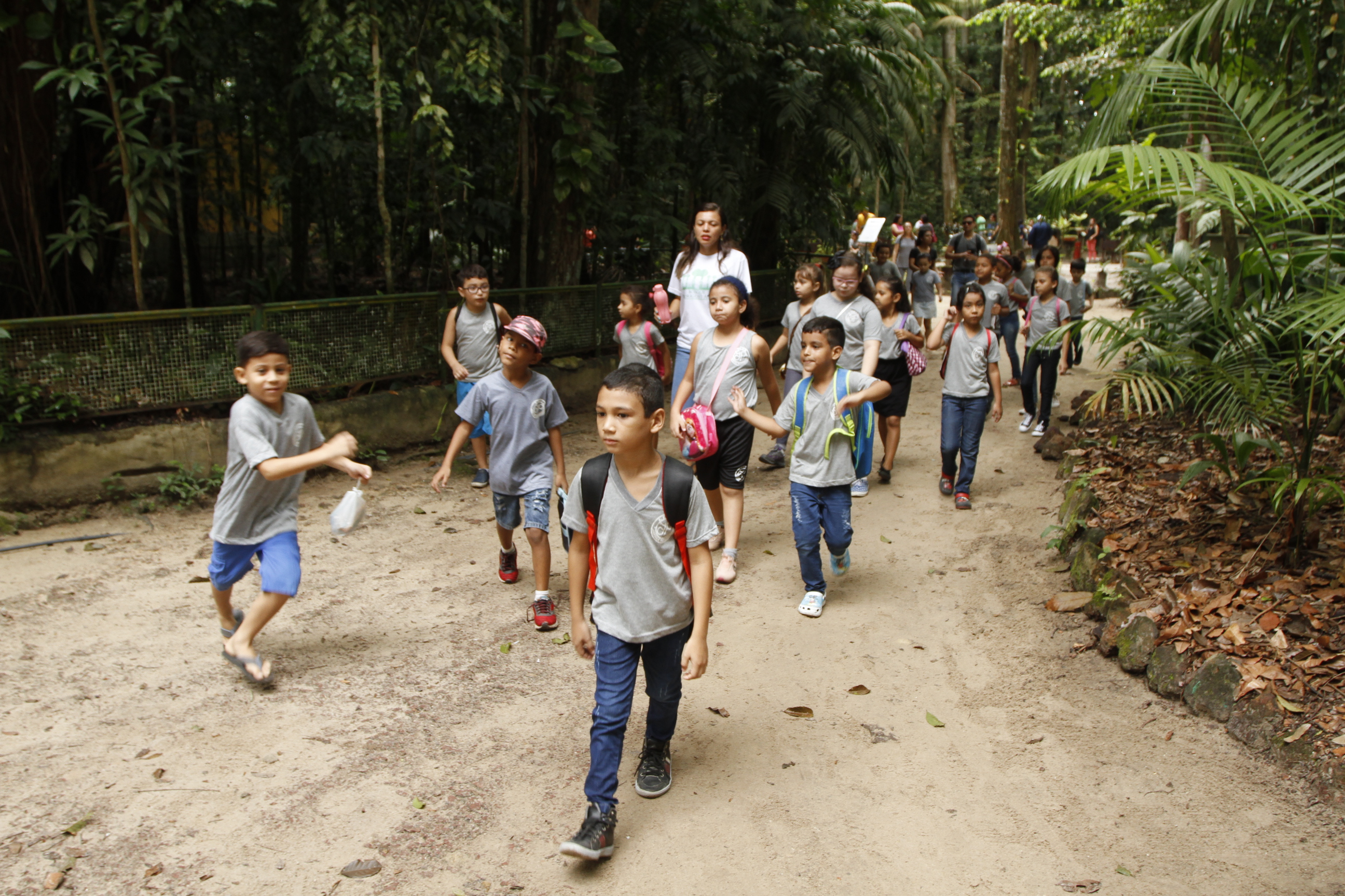 Plantio de mudas celebra o Dia Internacional da Biodiversidade no Bosque