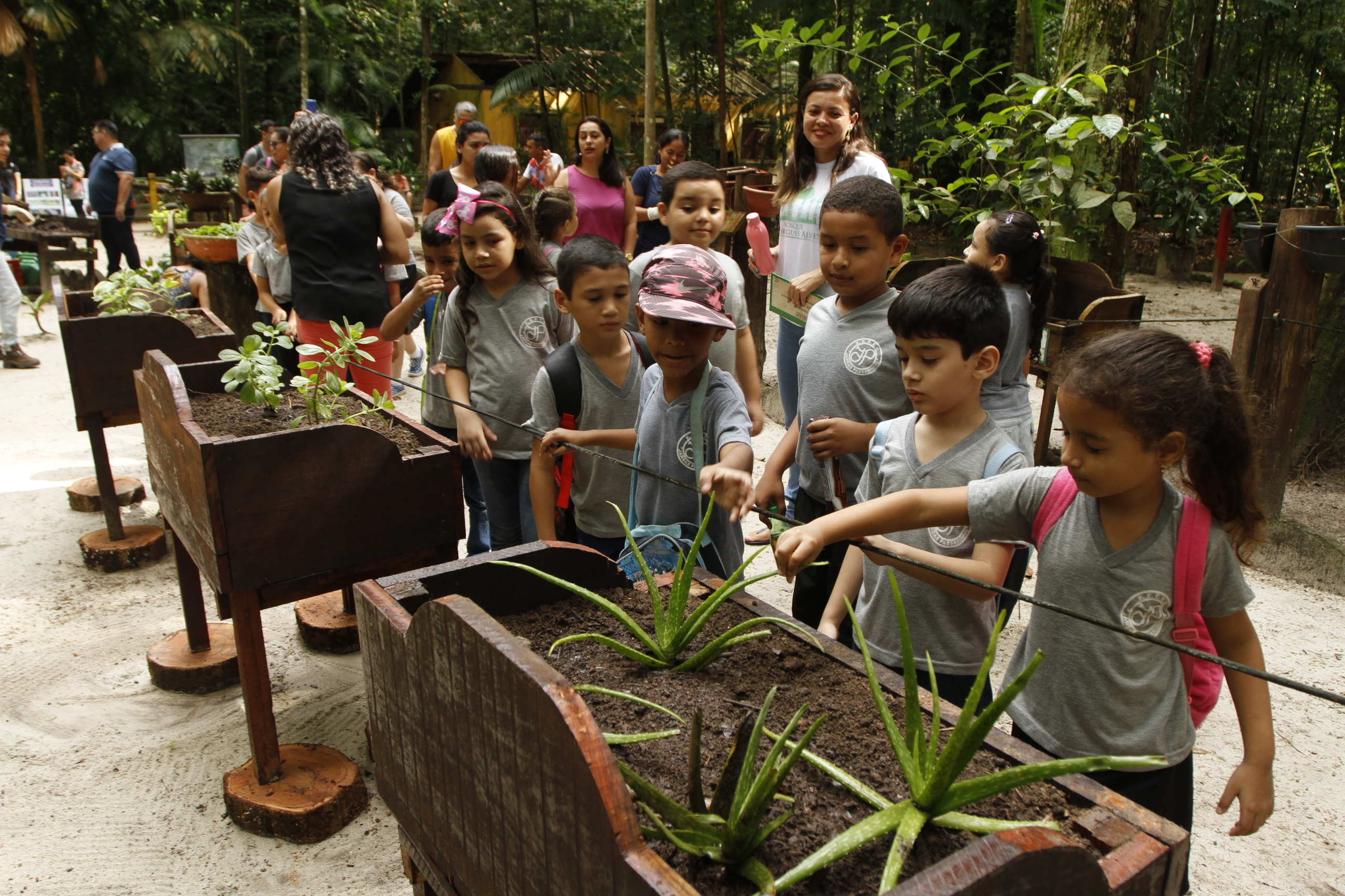Plantio de mudas celebra o Dia Internacional da Biodiversidade no Bosque