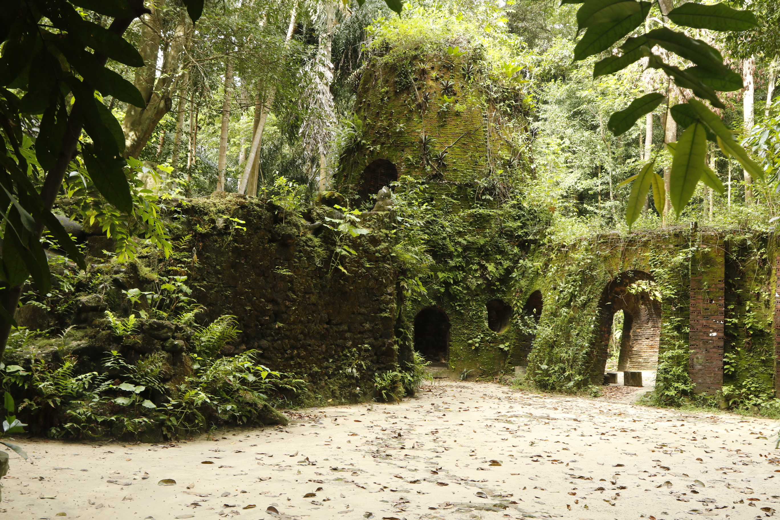 Plantio de mudas celebra o Dia Internacional da Biodiversidade no Bosque