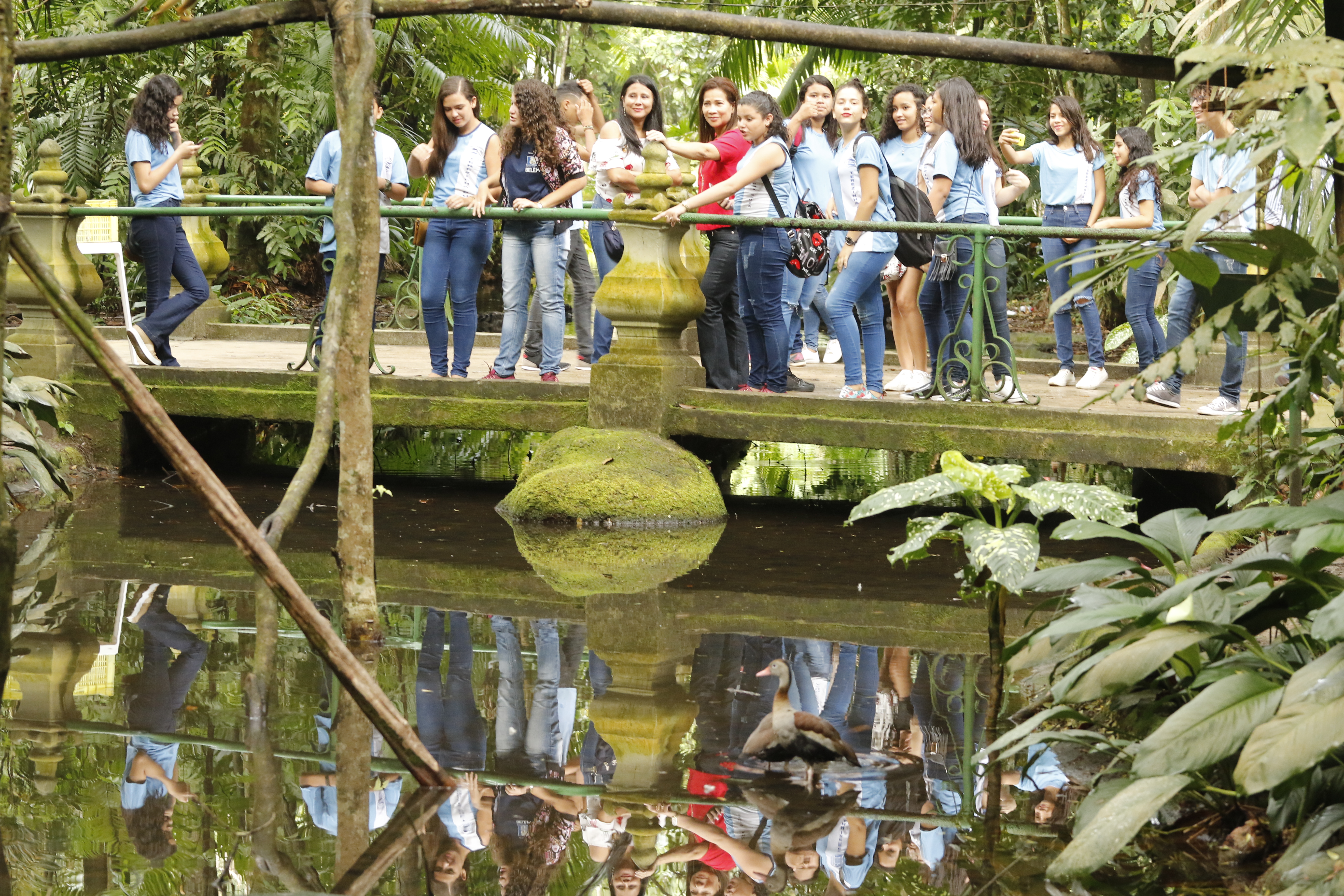 Prefeitura Municipal dá início à XV Semana do Meio Ambiente em Belém