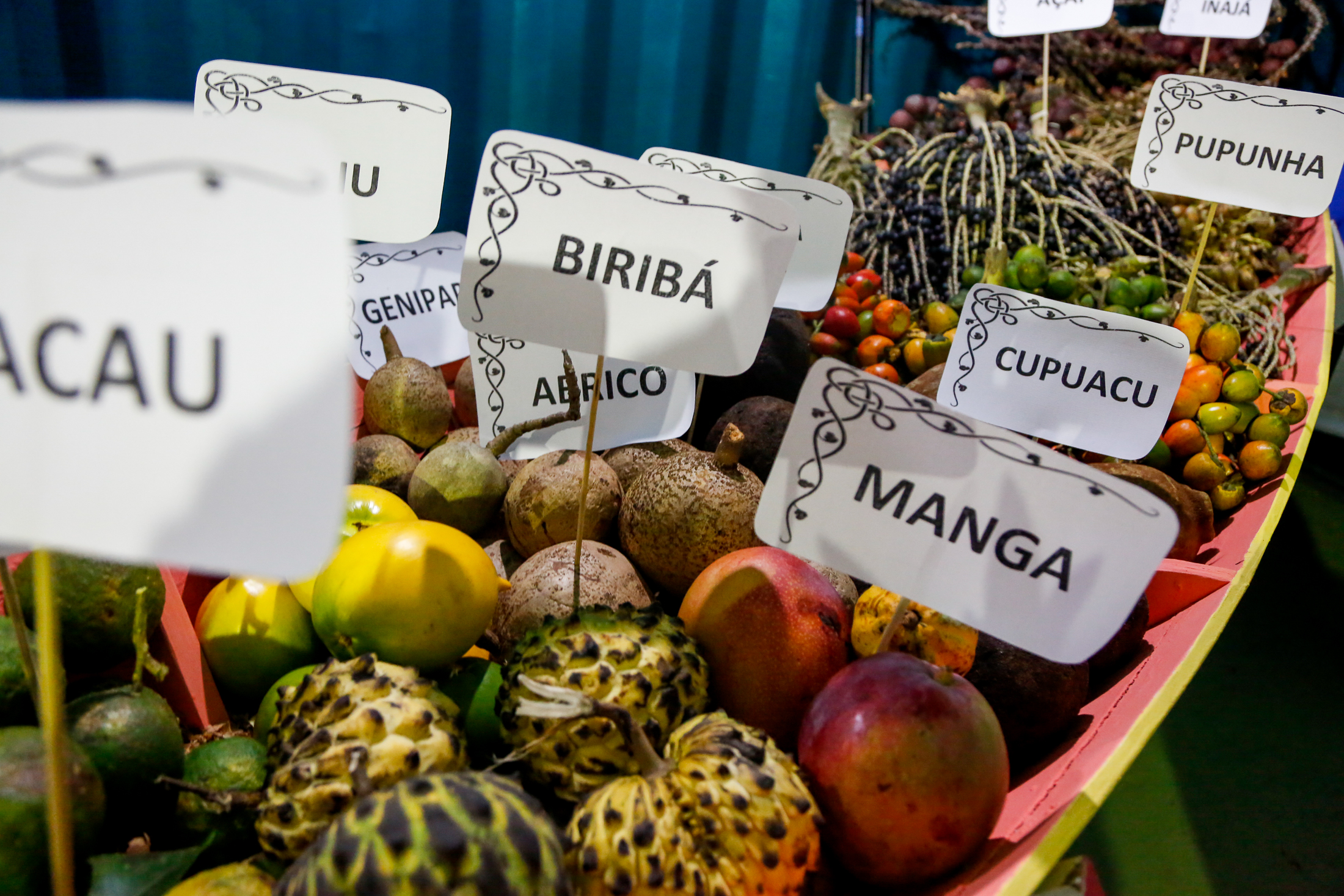 Ingredientes locais e iniciativas sustentáveis dão o tom no Festival Ilhas e Sabores