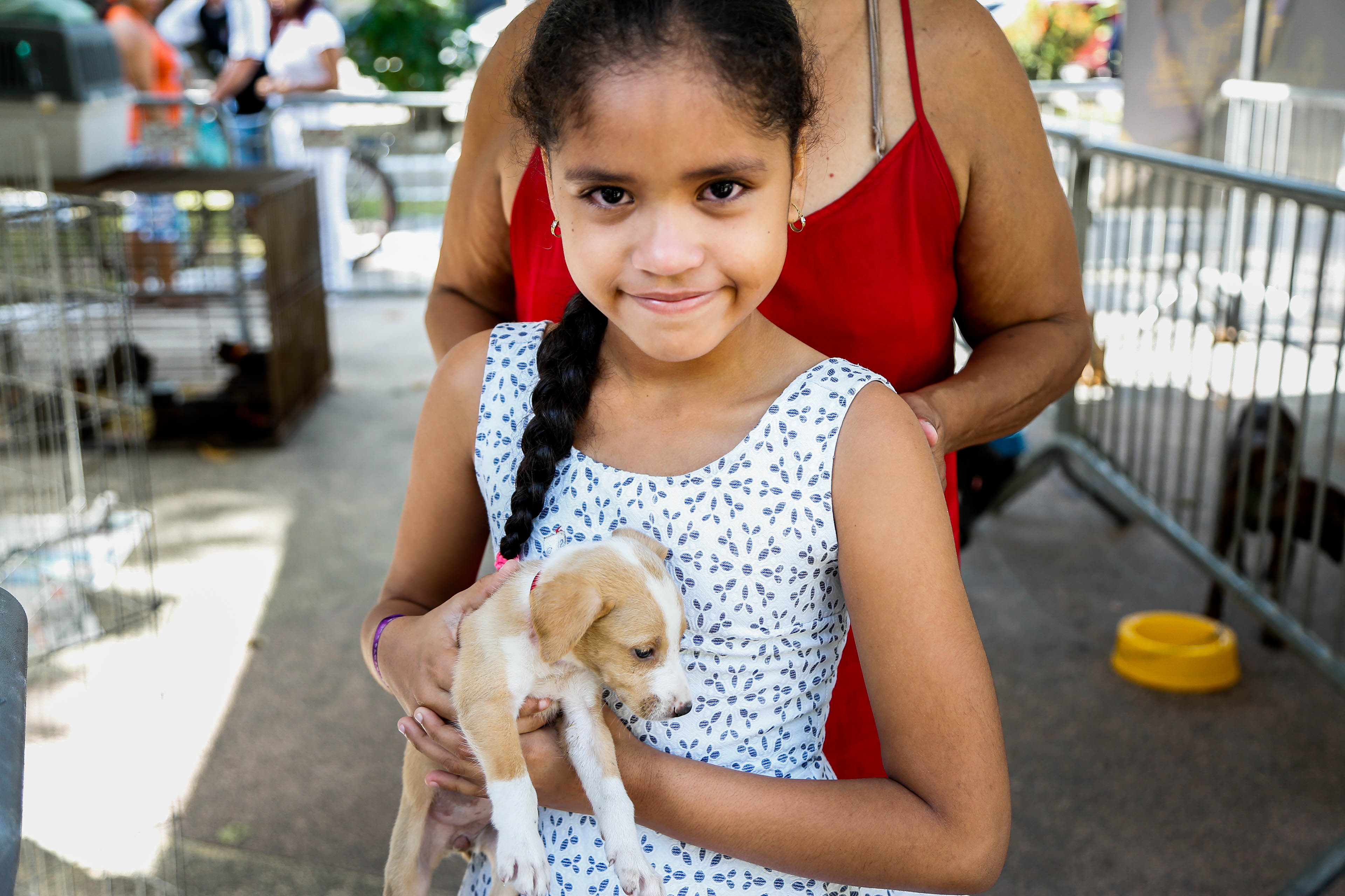 Feira de adoção de cães e gatos é sucesso de público no bairro da Sacramenta