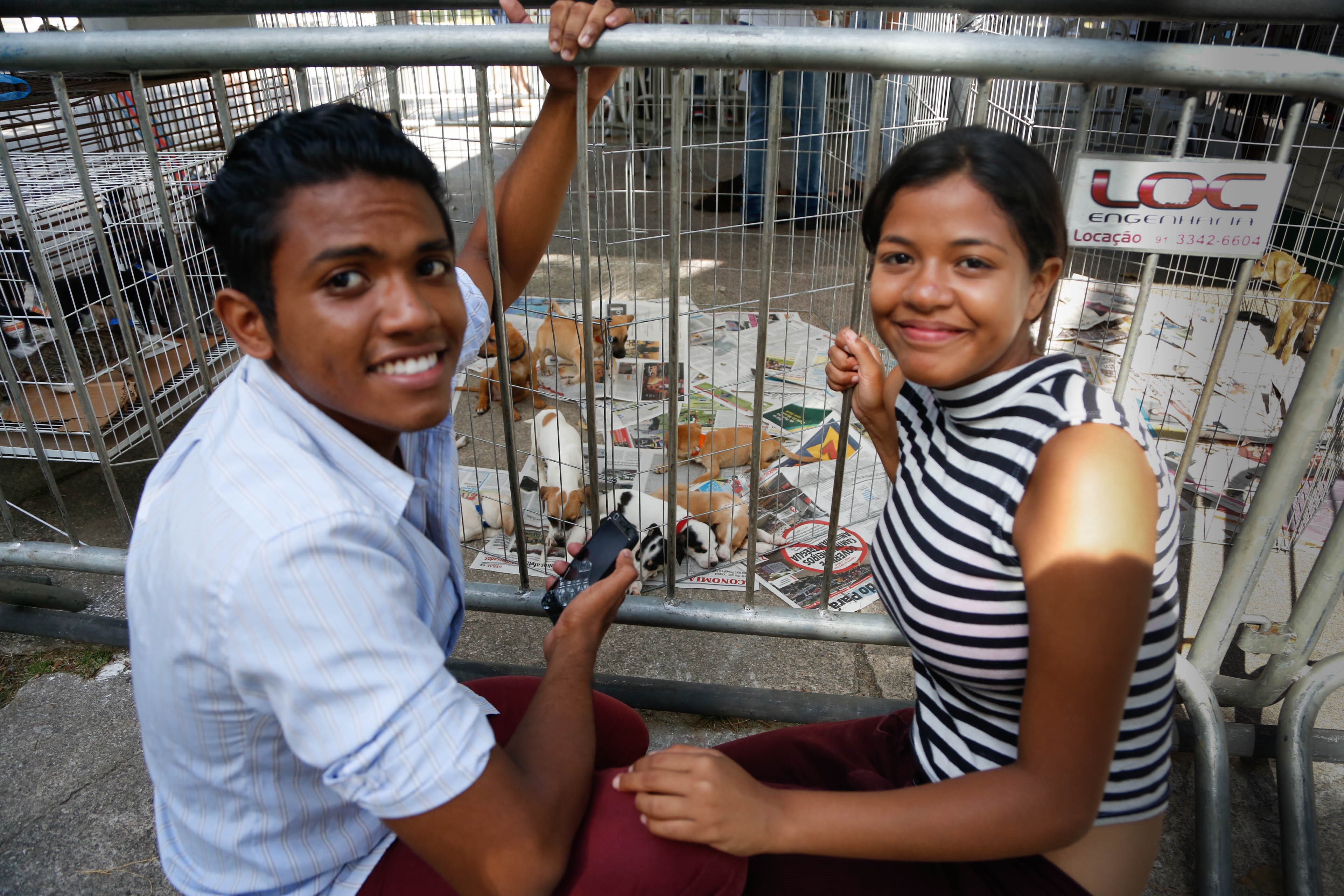 Feira de adoção de cães e gatos é sucesso de público no bairro da Sacramenta