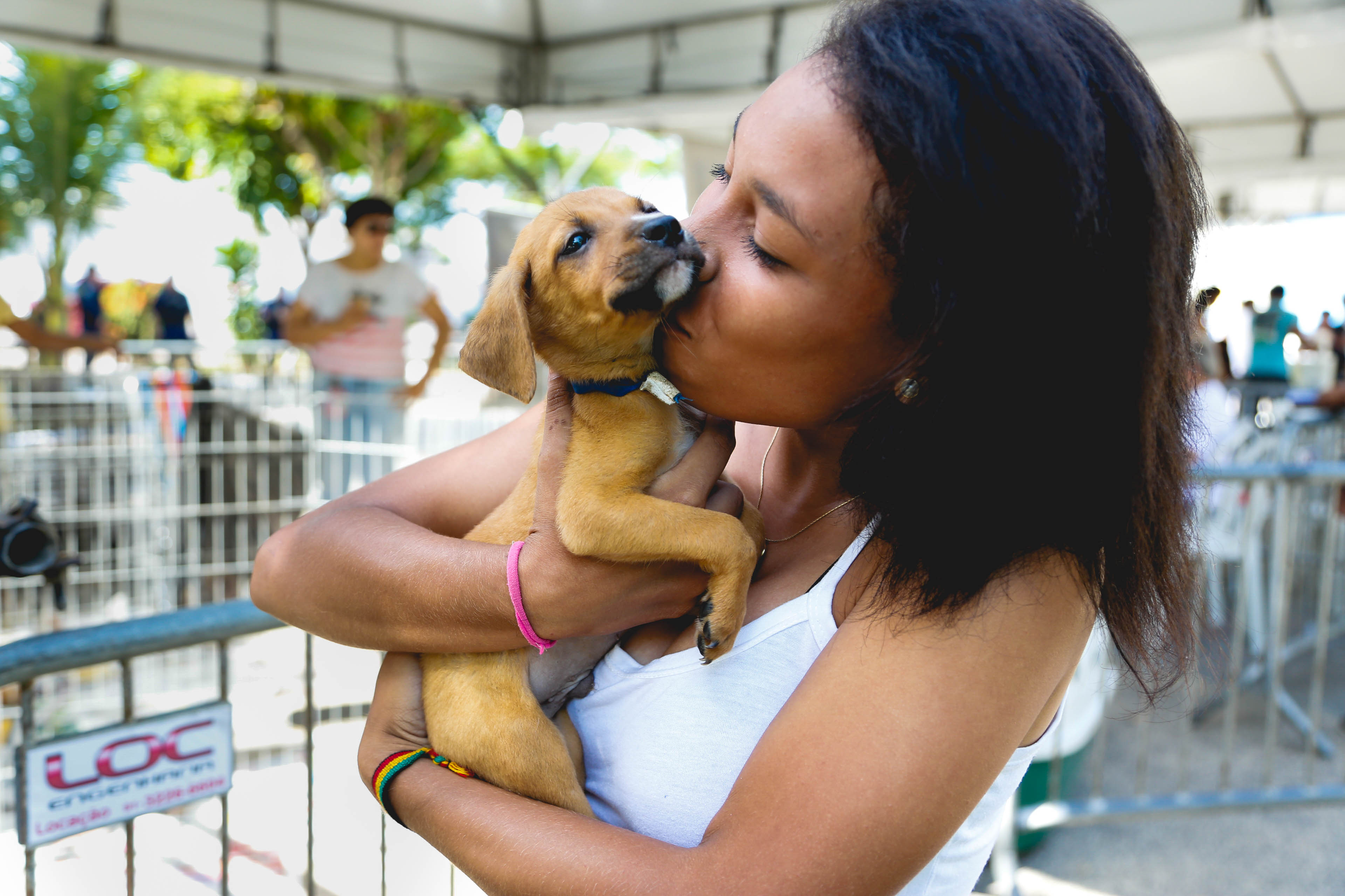 Feira de adoção de cães e gatos é sucesso de público no bairro da Sacramenta
