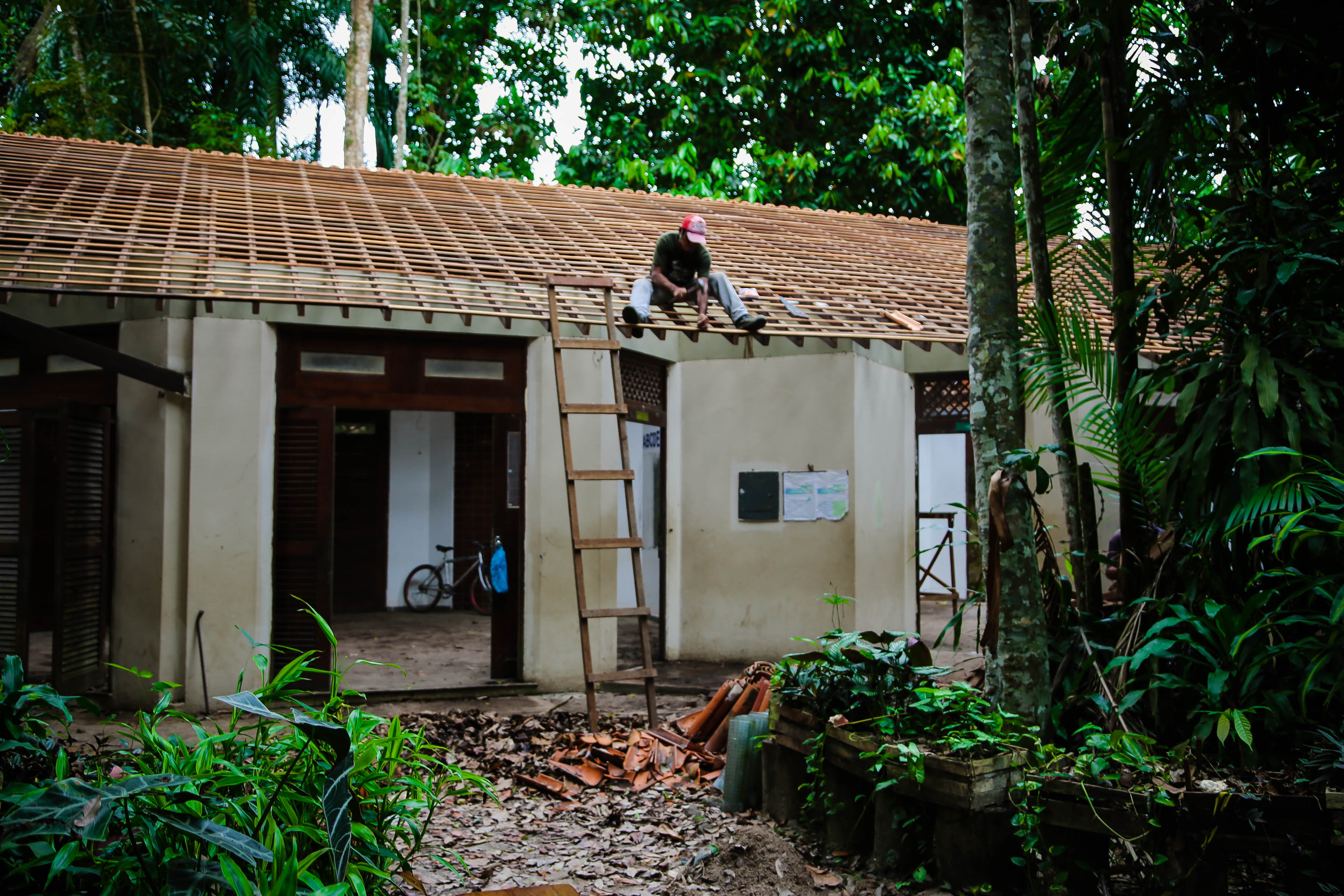 Escola Bosque passa por reforma estrutural