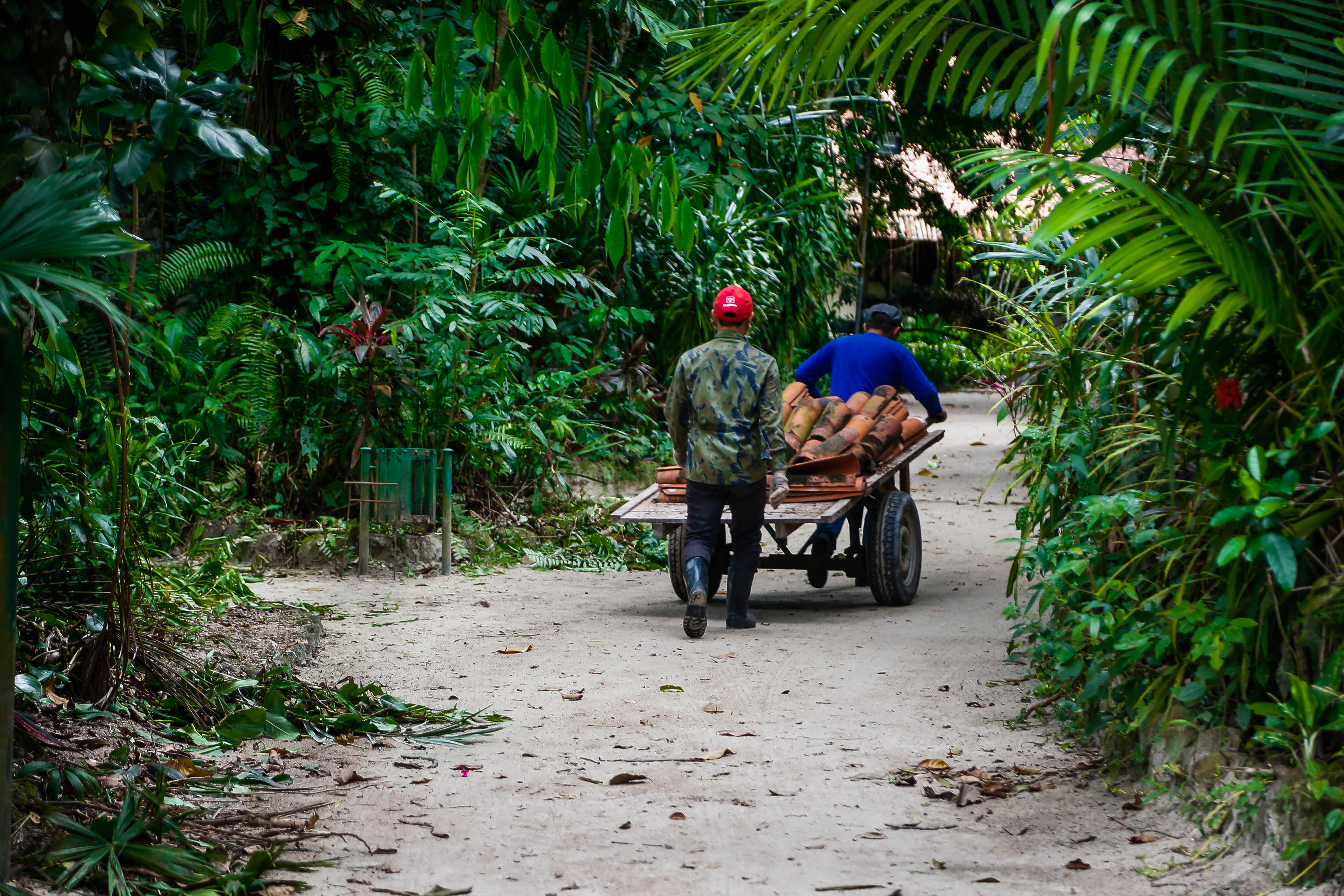 Escola Bosque passa por reforma estrutural
