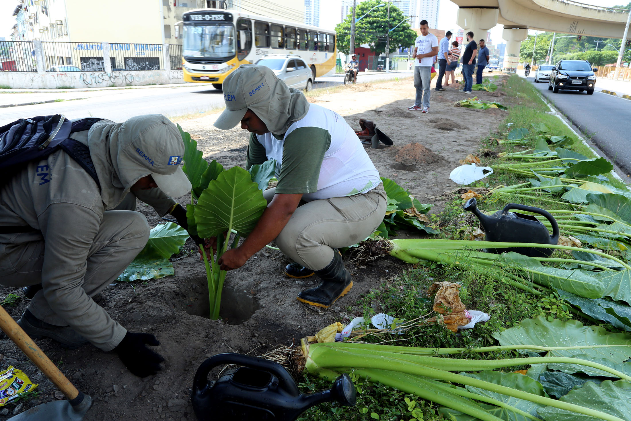 Inscrições a eleições do Conselho Municipal de Desenvolvimento Urbano começam na segunda-feira, 16 