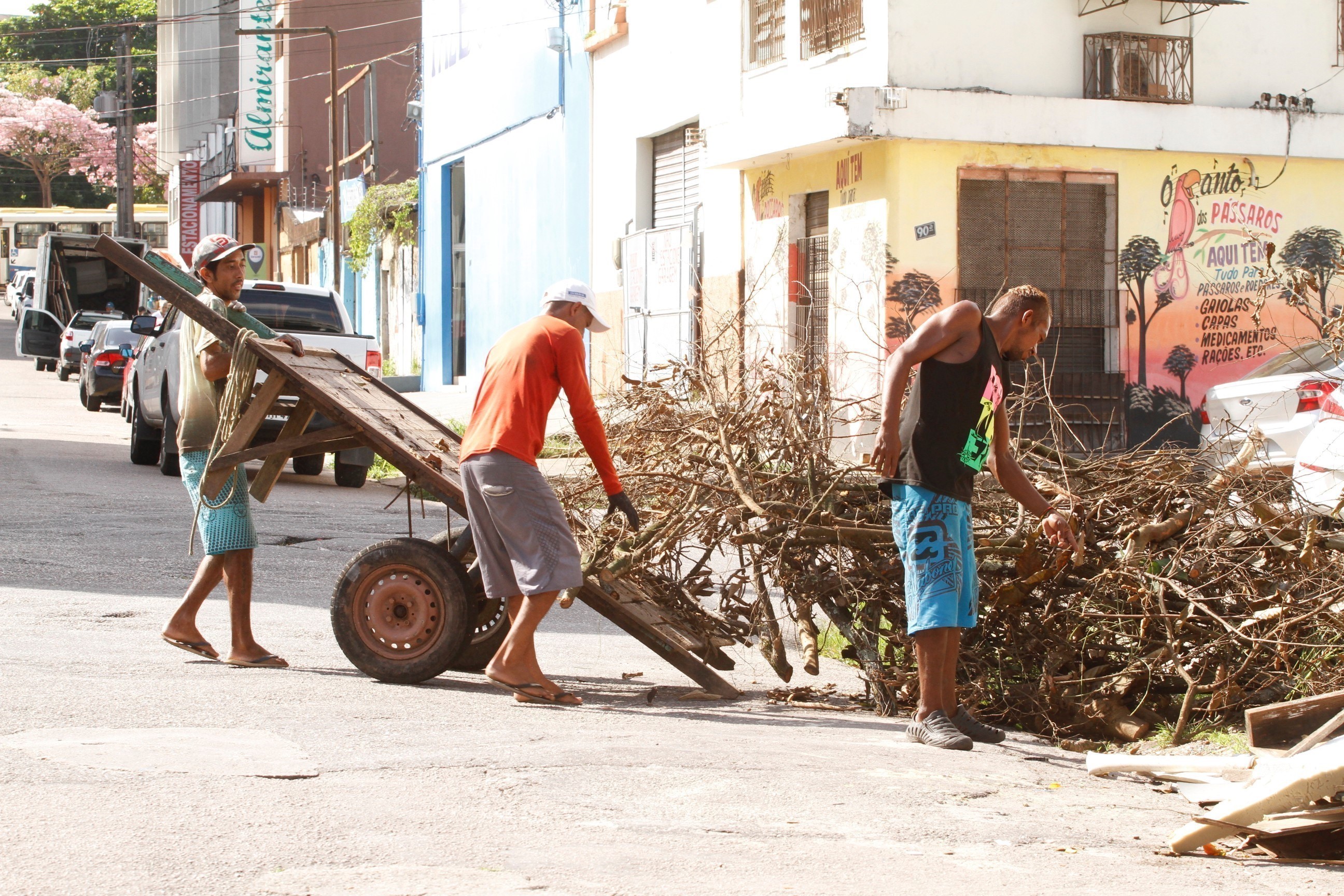 Propostas para revitalização do Mercado de São Brás começam a ser avaliadas