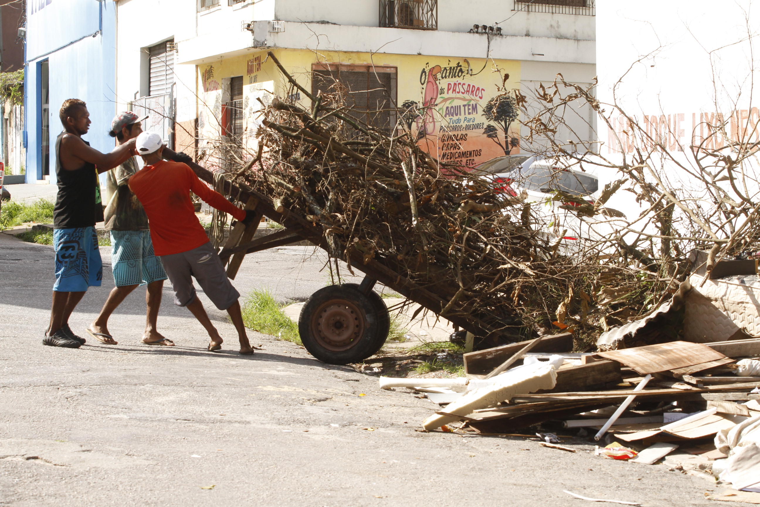 Propostas para revitalização do Mercado de São Brás começam a ser avaliadas