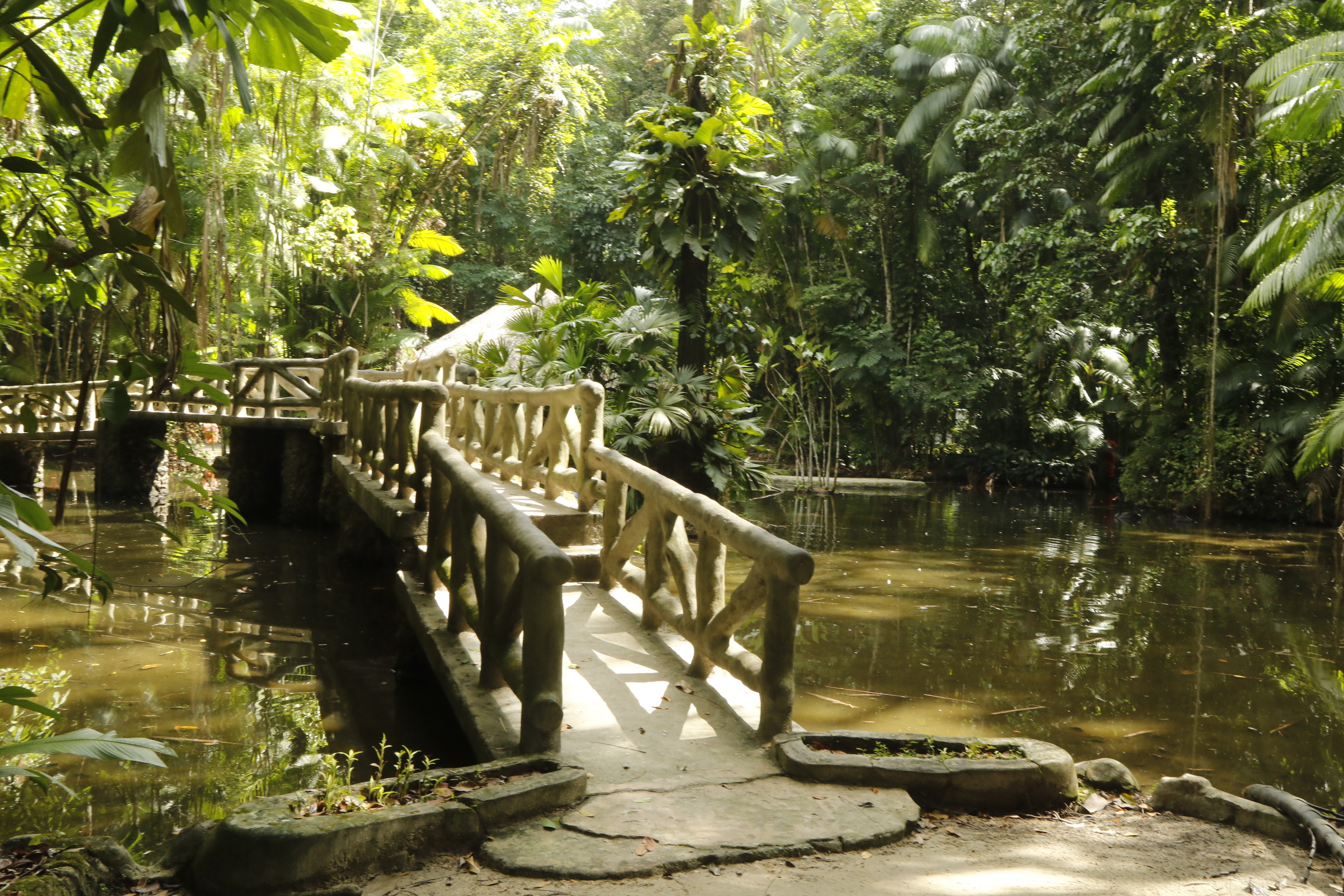 Prefeitura de Belém promove XVI Semana do Meio Ambiente