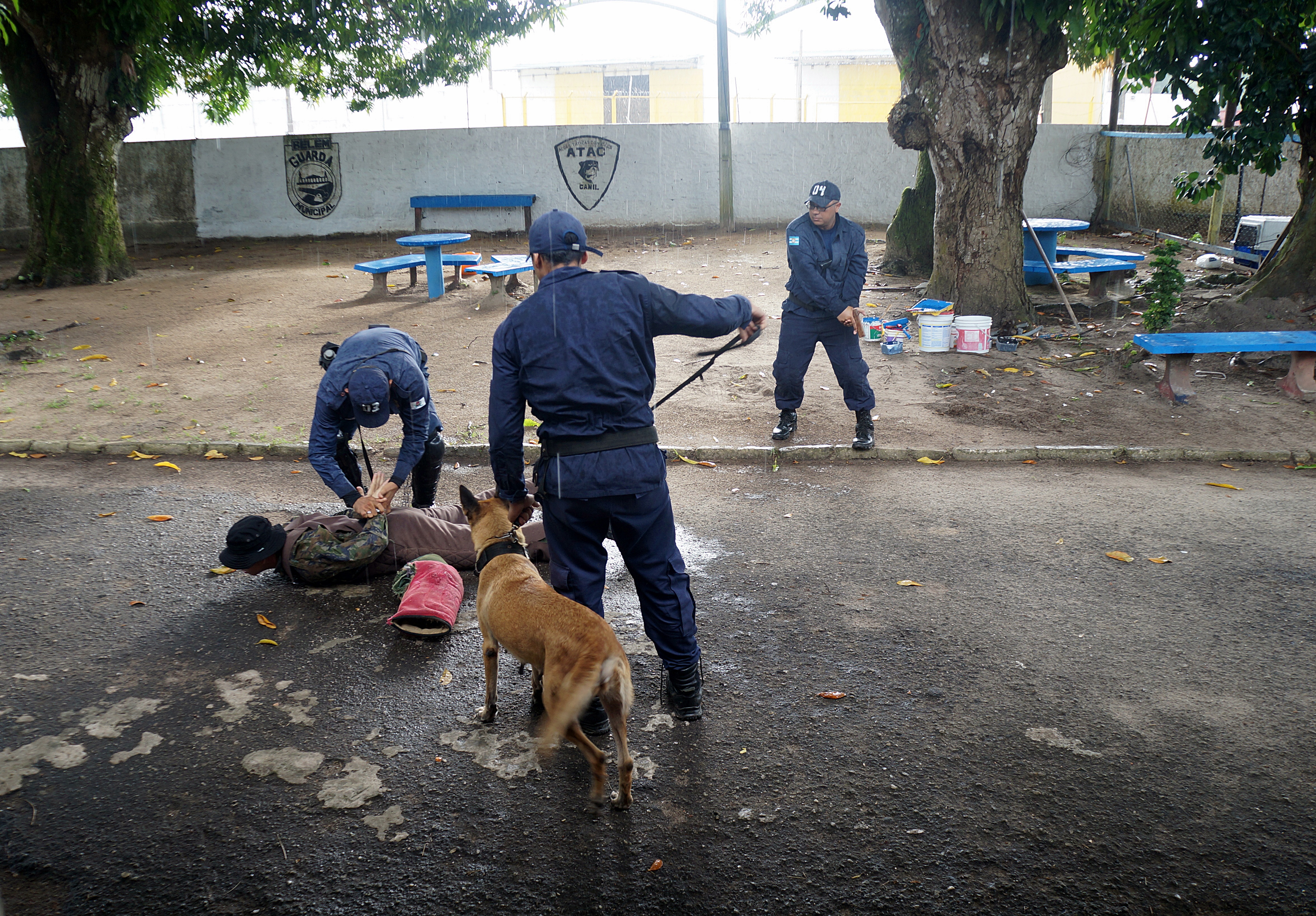 Guarda Municipal encerra o I Estágio de Ações Táticas com Cães
