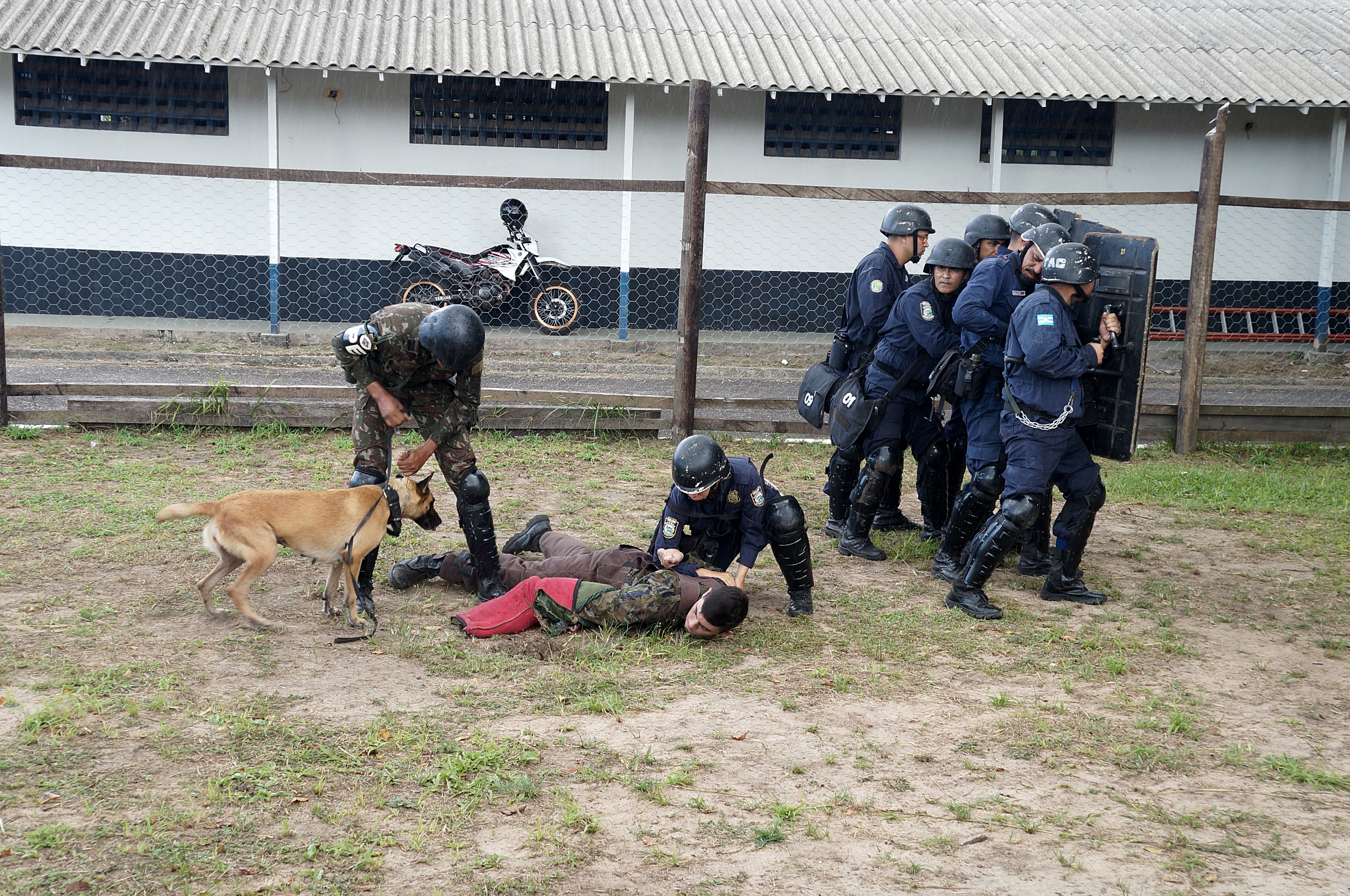 Guarda Municipal encerra o I Estágio de Ações Táticas com Cães