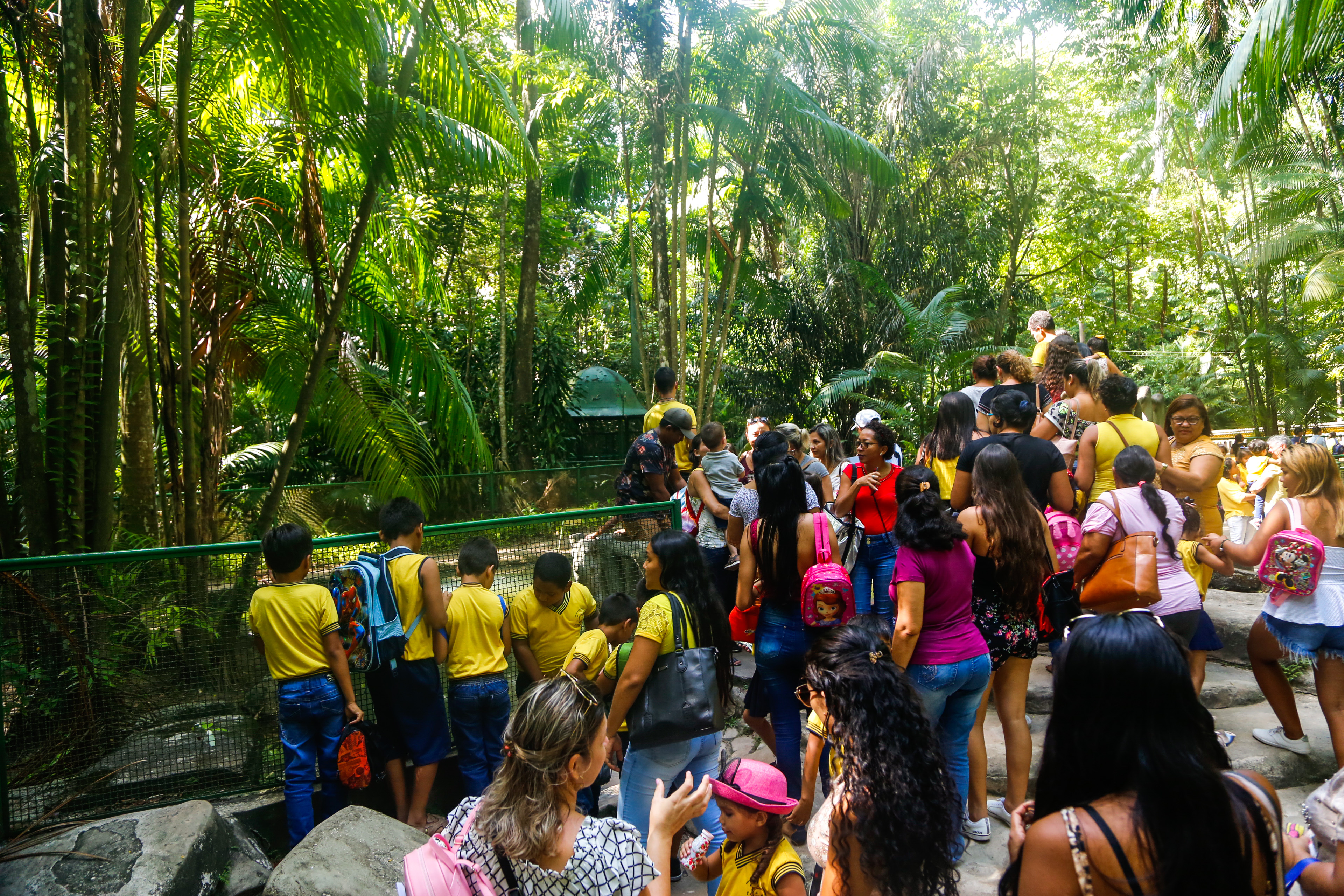 Bosque Rodrigues Alves celebra o Dia da Árvore e o Dia de Defesa da Fauna