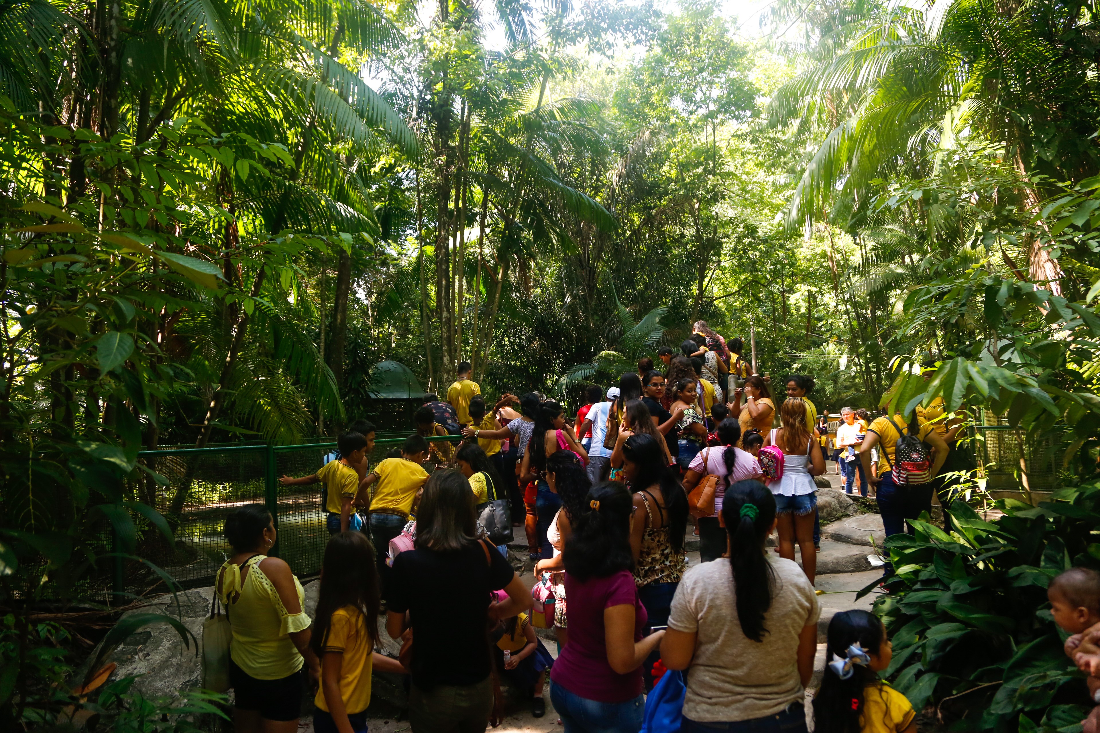Bosque Rodrigues Alves celebra o Dia da Árvore e o Dia de Defesa da Fauna