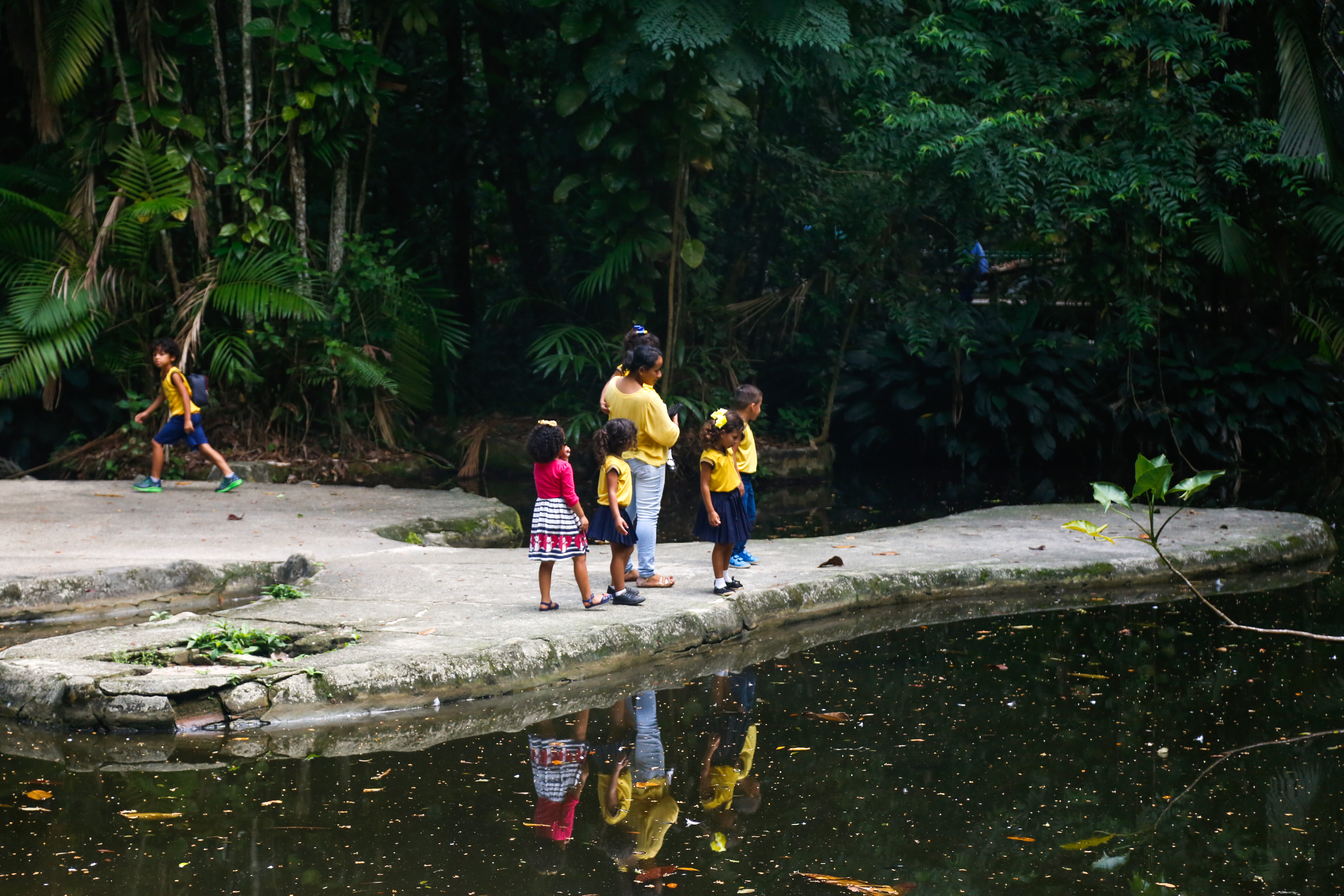Bosque Rodrigues Alves celebra o Dia da Árvore e o Dia de Defesa da Fauna