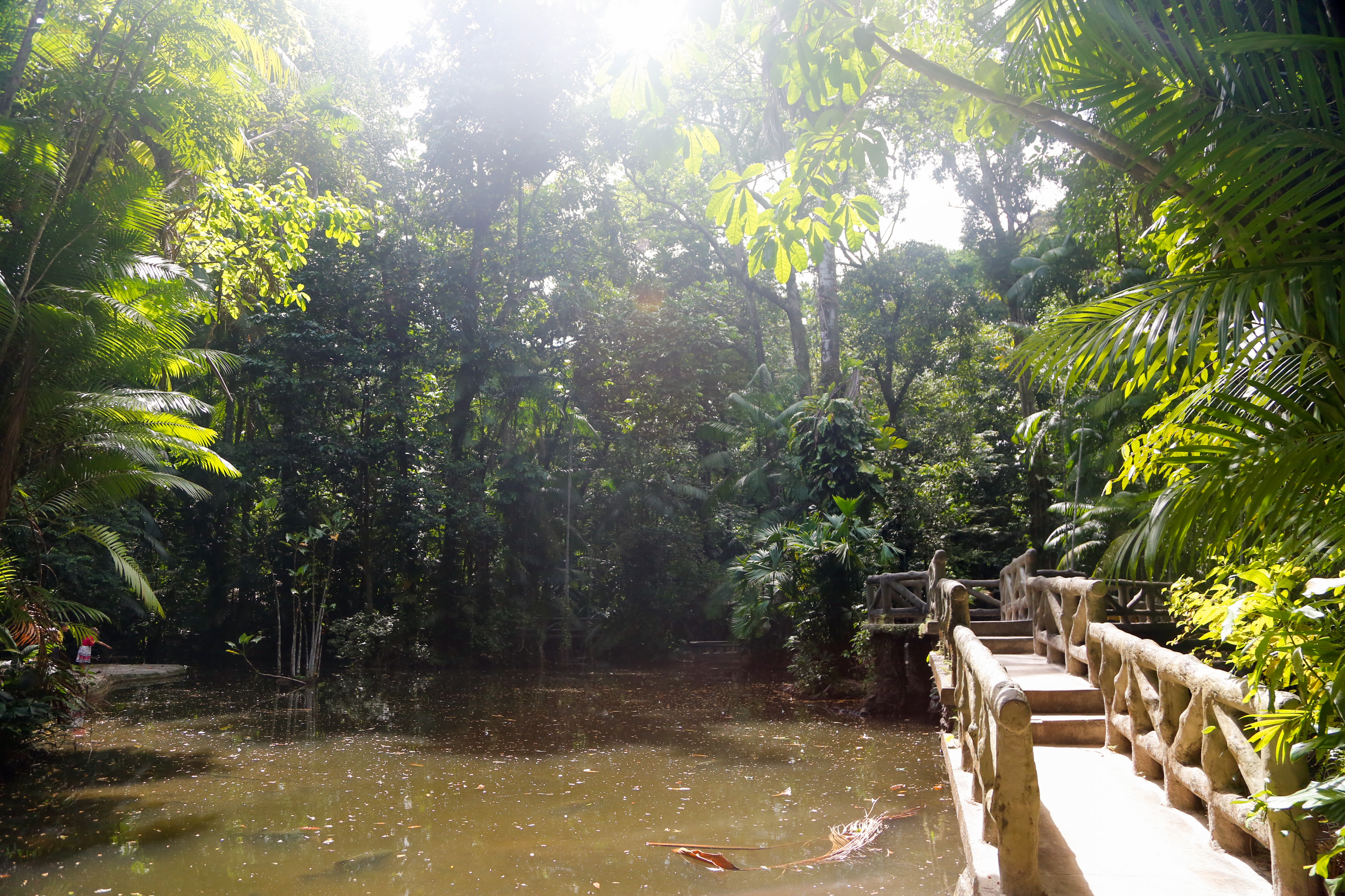 Bosque Rodrigues Alves celebra o Dia da Árvore e o Dia de Defesa da Fauna