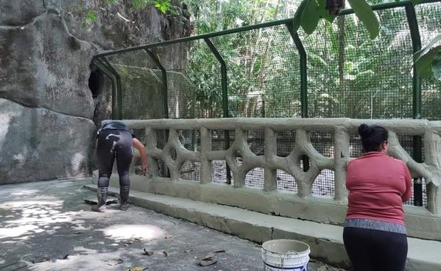 Bosque Rodrigues Alves, uma das principais atrações de Belém, recebe reformas especiais