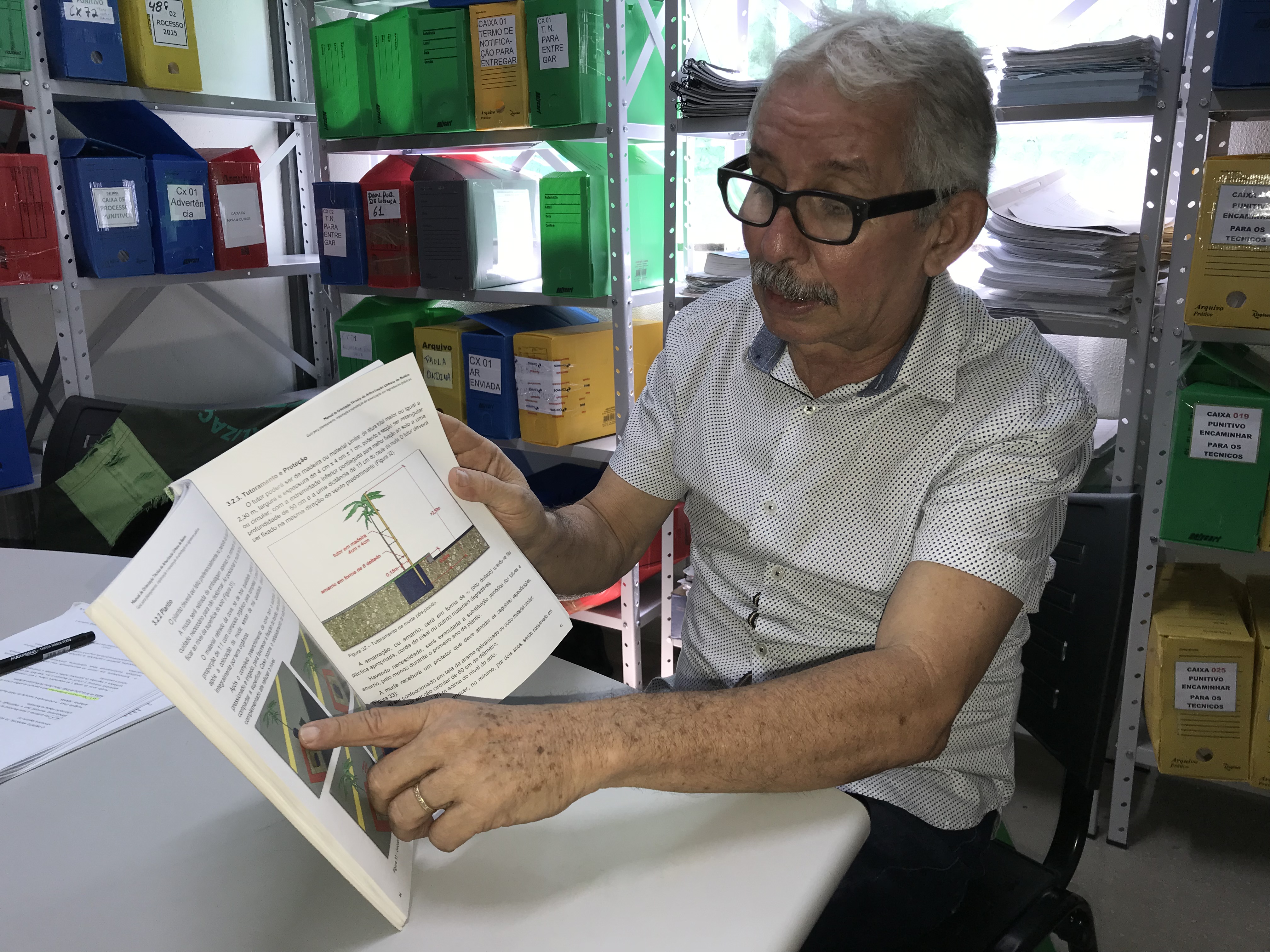 Semma investiga possíveis casos de envenenamento de mangueiras em Belém 