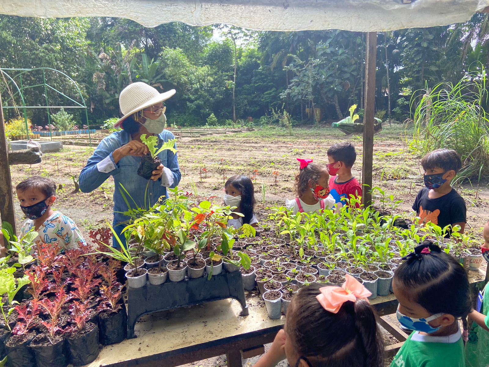 Belém é a única capital do Brasil aprovada no edital do SUS com o projeto Farmácia Nativa