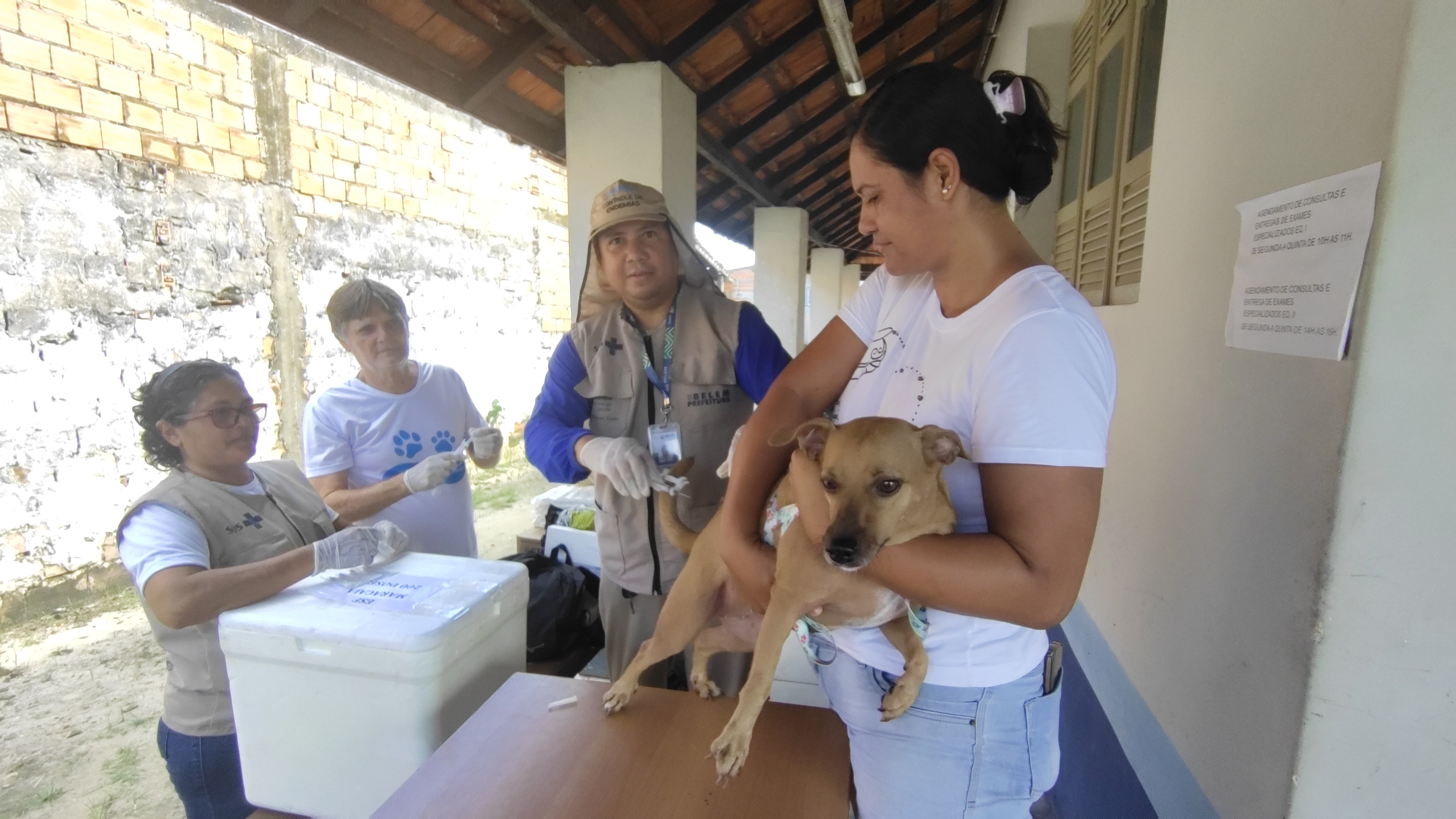 Mosqueiro amplia cobertura da vacinação antirrábica