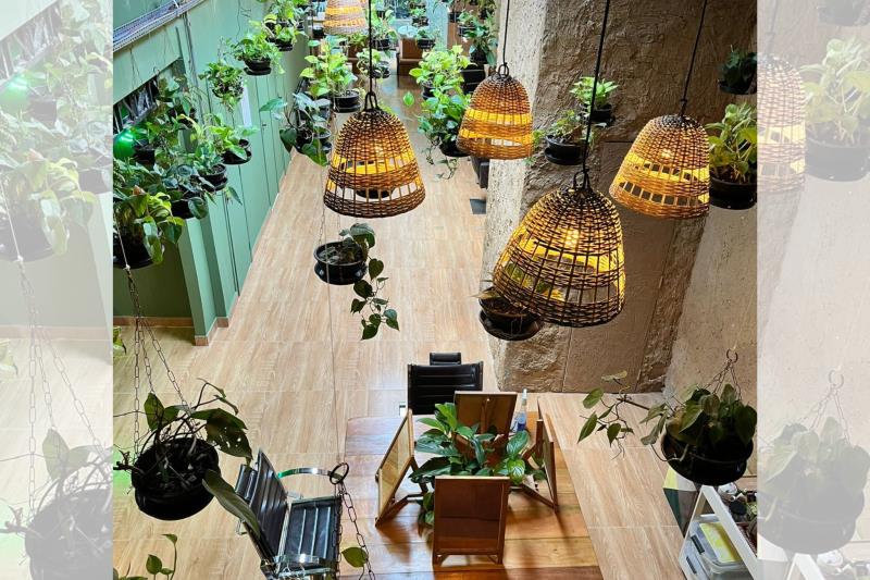 Beleza limpa e regeneração amazônica ganham protagonismo na COP30