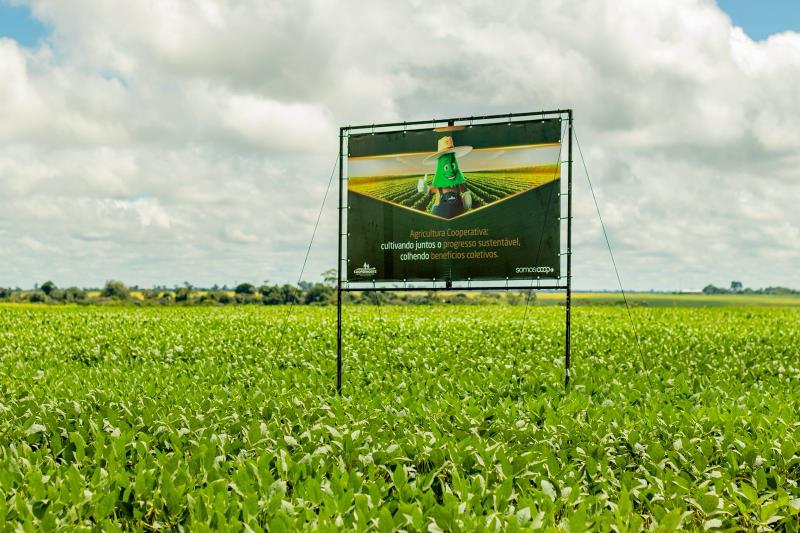 COOPERNORTE é selecionada para participar da COP 30 com projetos sobre inovação e sustentabilidade na Amazônia