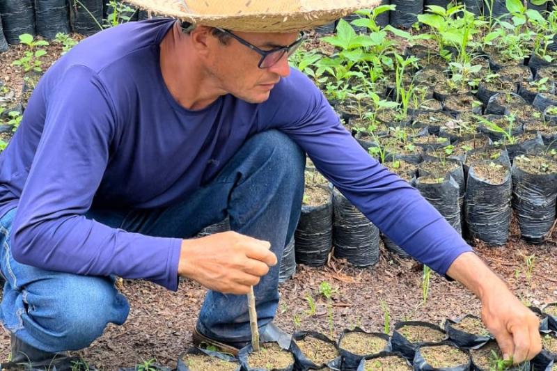 Fórum Territorial celebra conquistas do primeiro ciclo do Programa Paricá e fortalece alianças