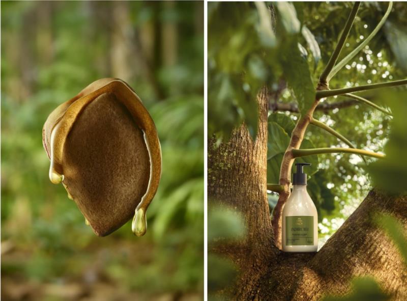 Novo Natura Ekos Andiroba traz um tratamento cosmético anti-cansaço