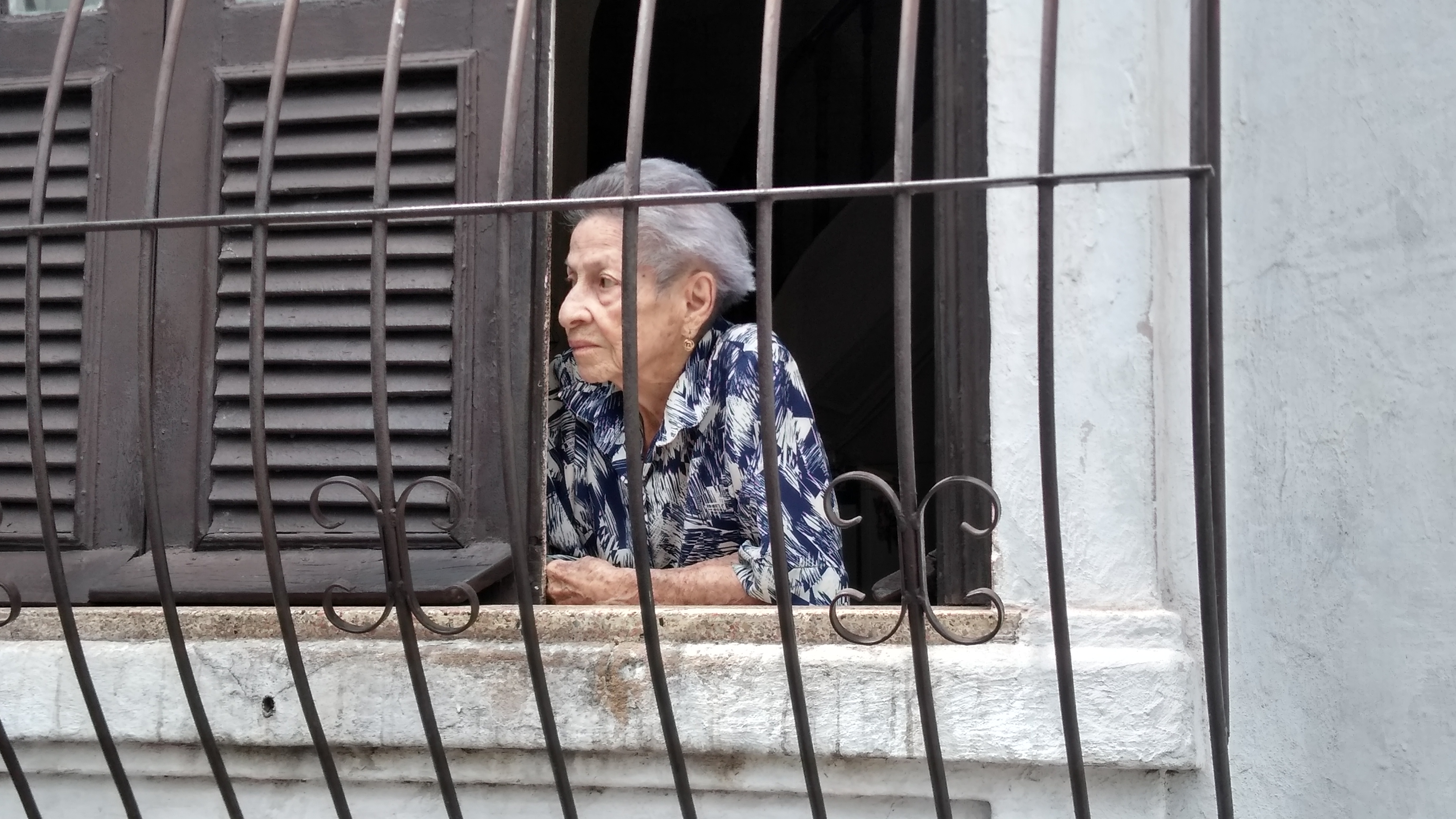 Equipes da Semma retiram árvore envenenada no bairro de Nazaré