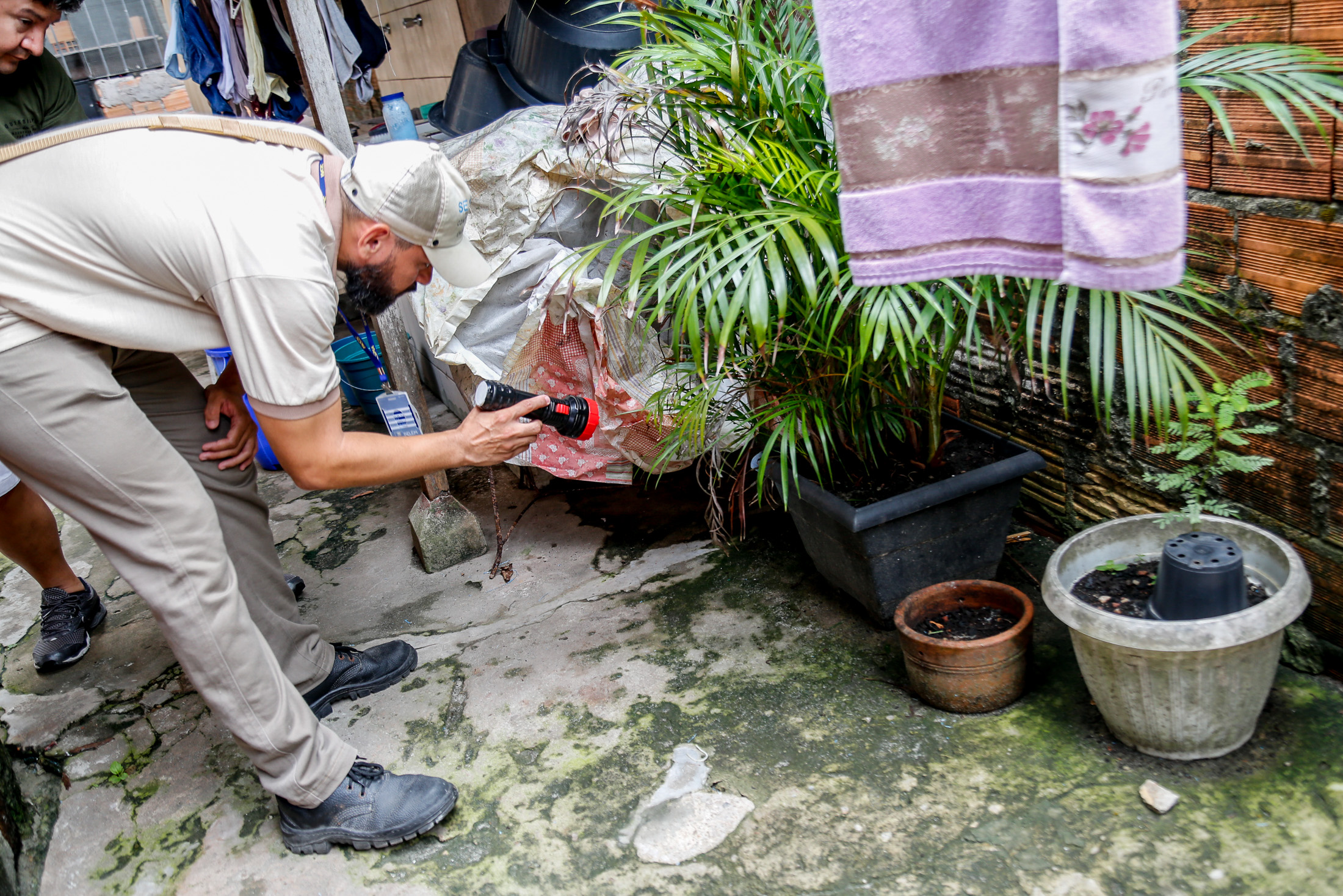 Levantamento ajuda a medir o índice de infestação do Aedes aegypit