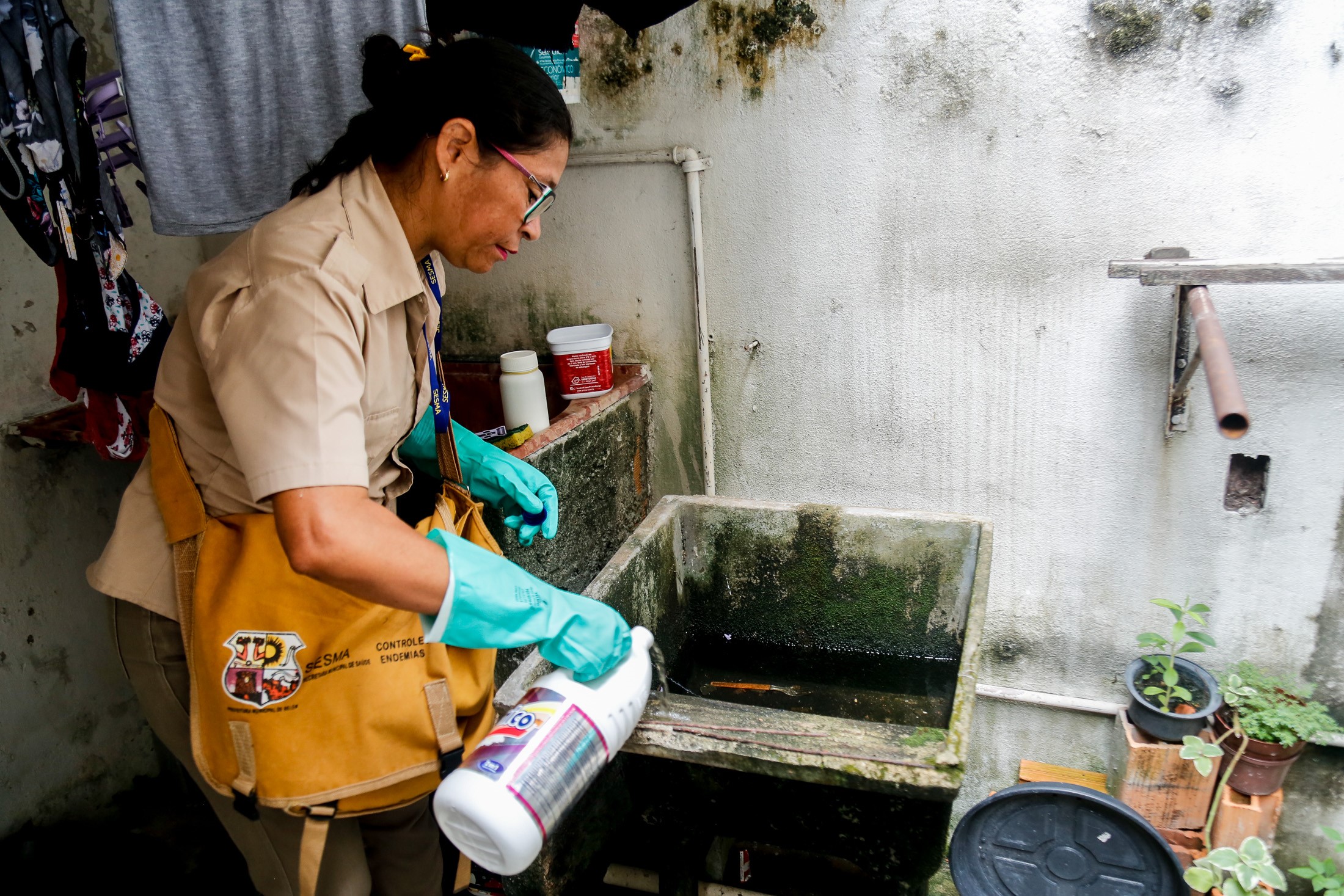 Levantamento ajuda a medir o índice de infestação do Aedes aegypit
