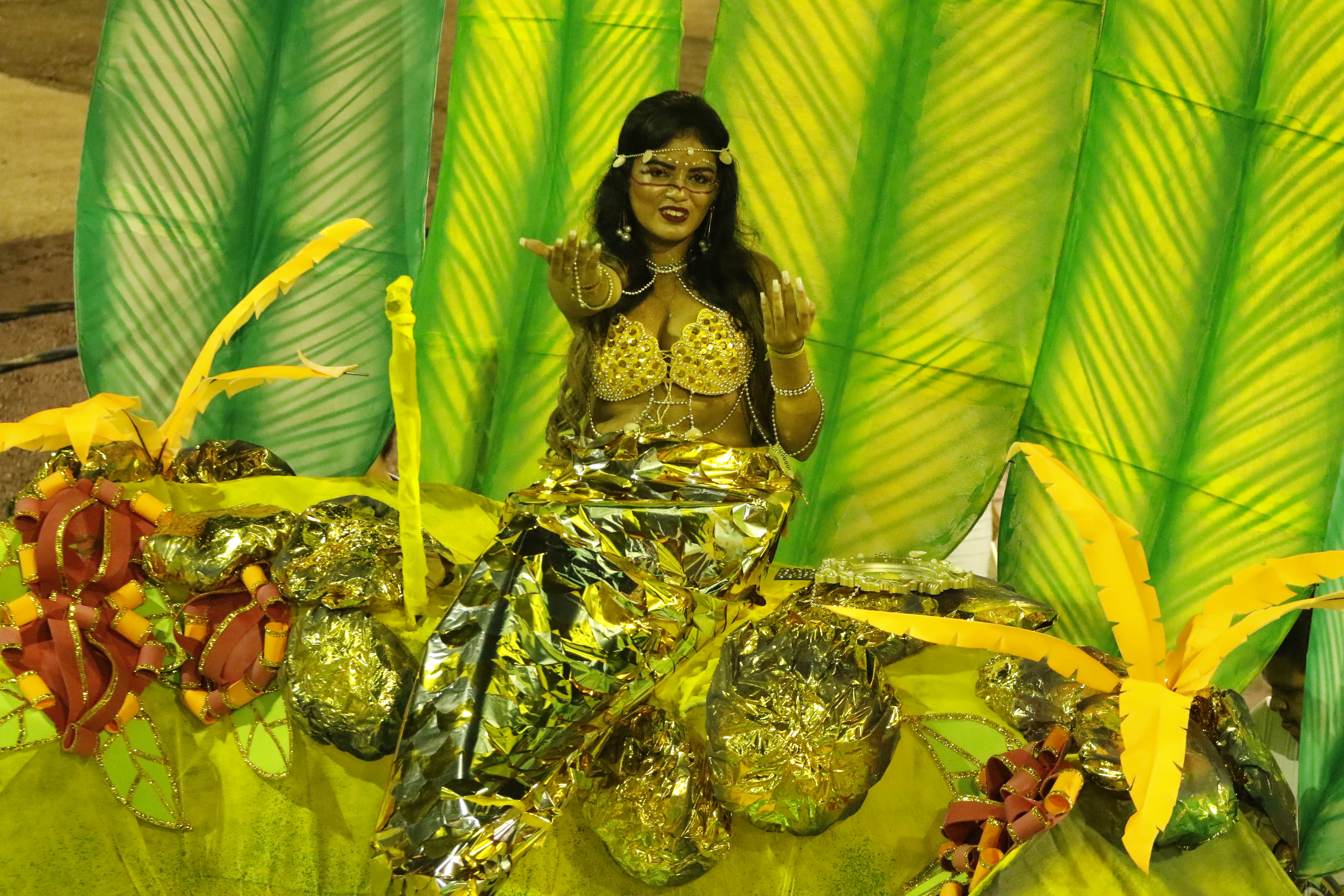 Dez escolas encerraram o desfile do Carnaval oficial de Belém