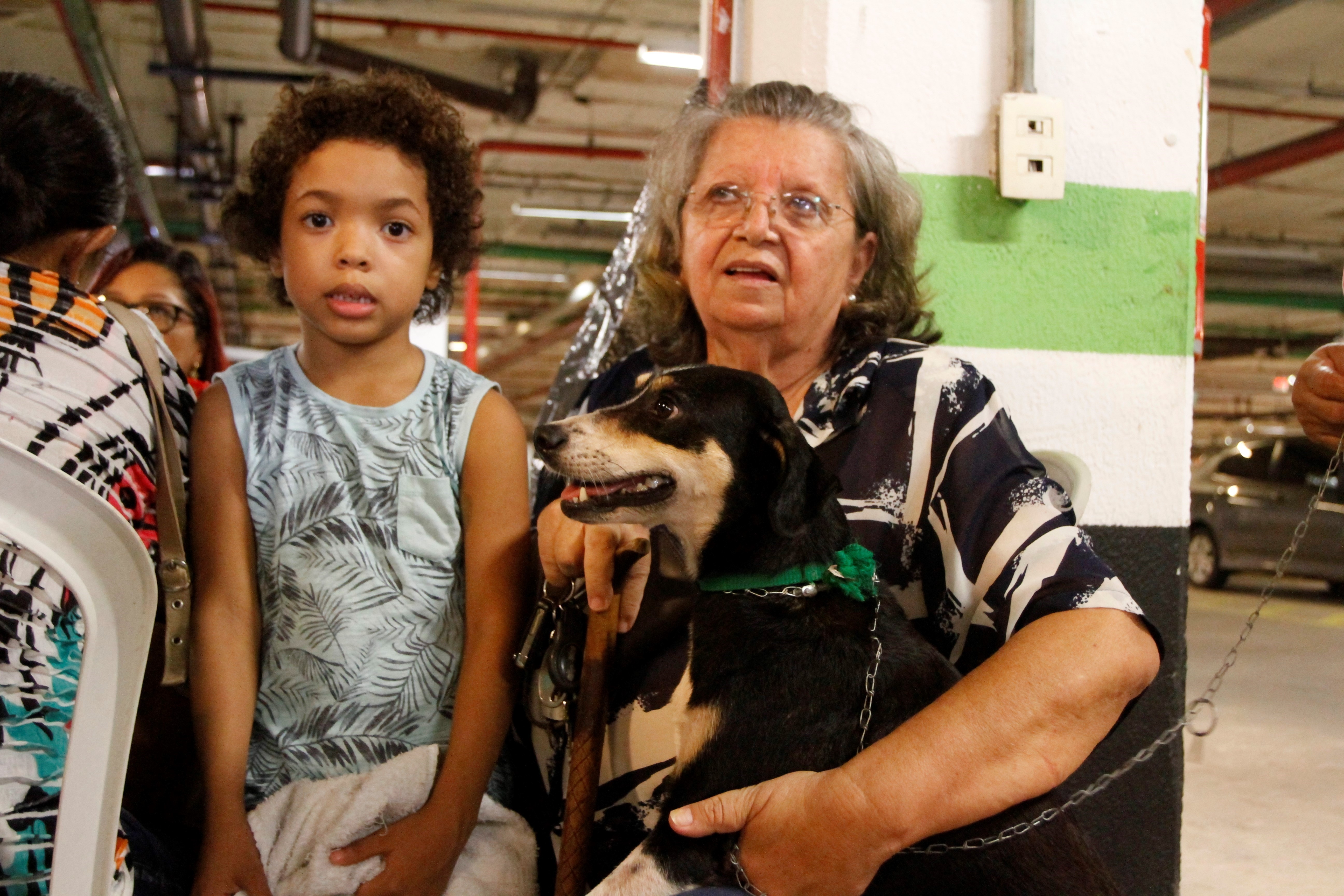 Feira de adoção de cães e gatos repete sucesso na 37ª edição