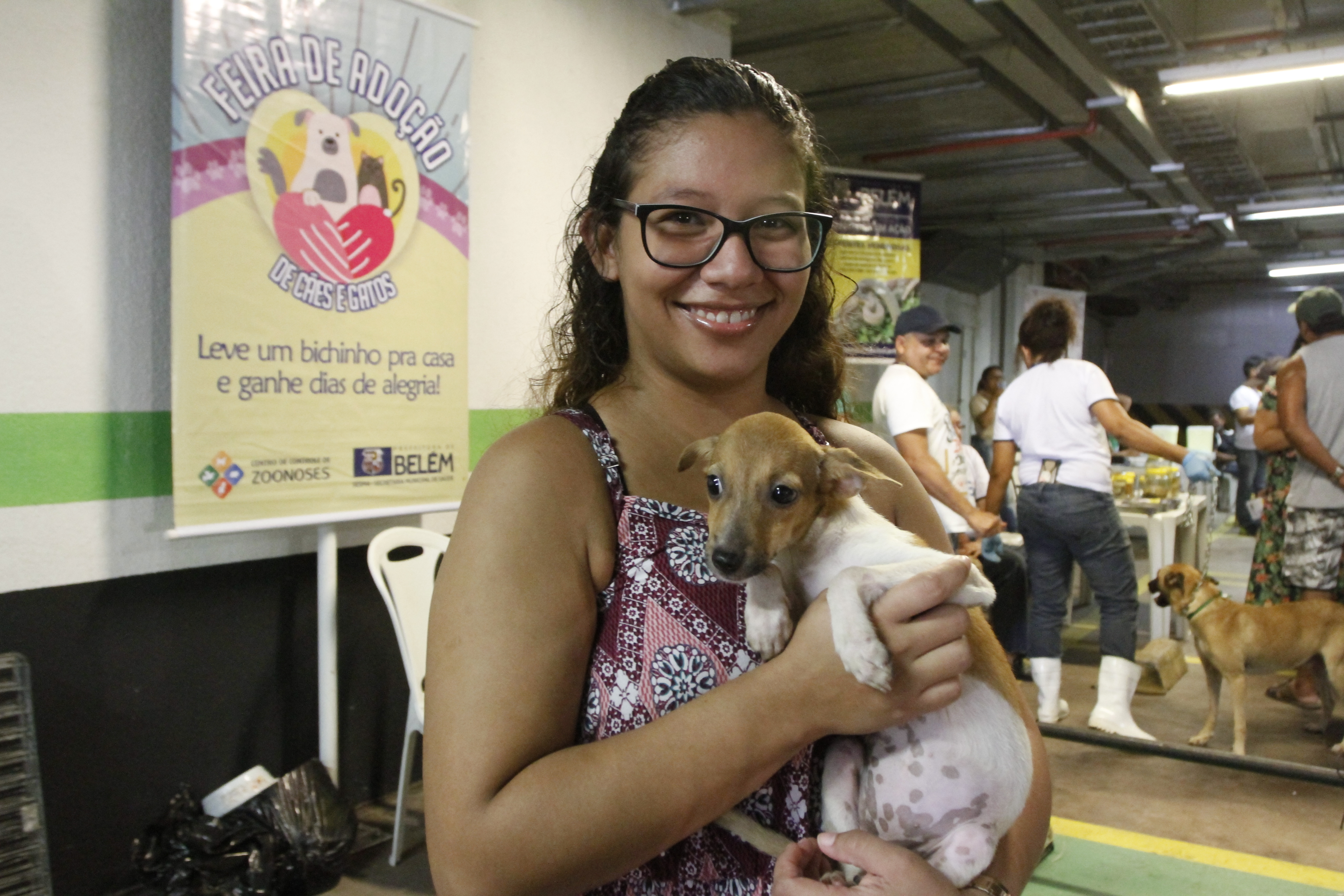 Feira de adoção de cães e gatos repete sucesso na 37ª edição