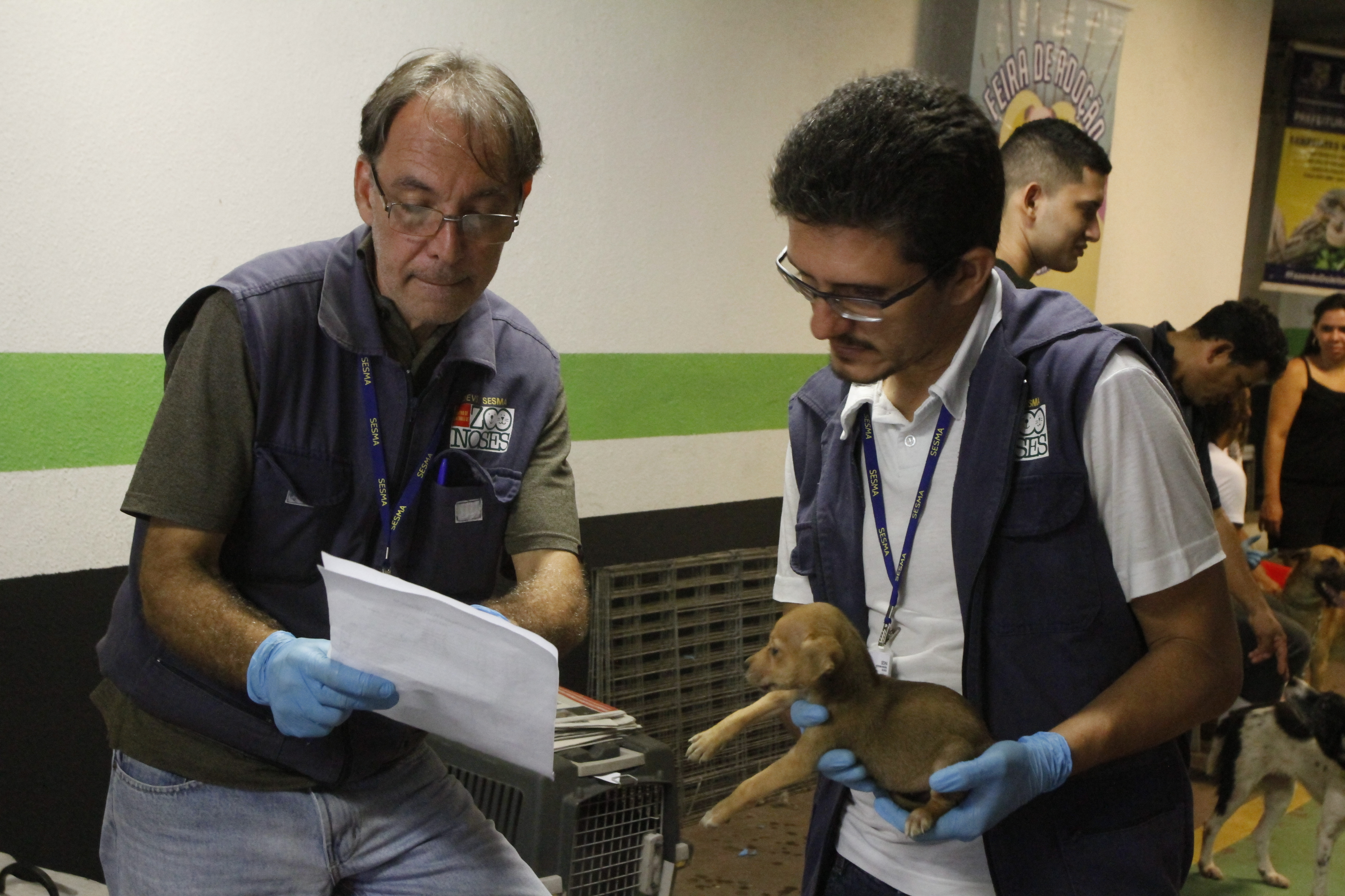 Feira de adoção de cães e gatos repete sucesso na 37ª edição