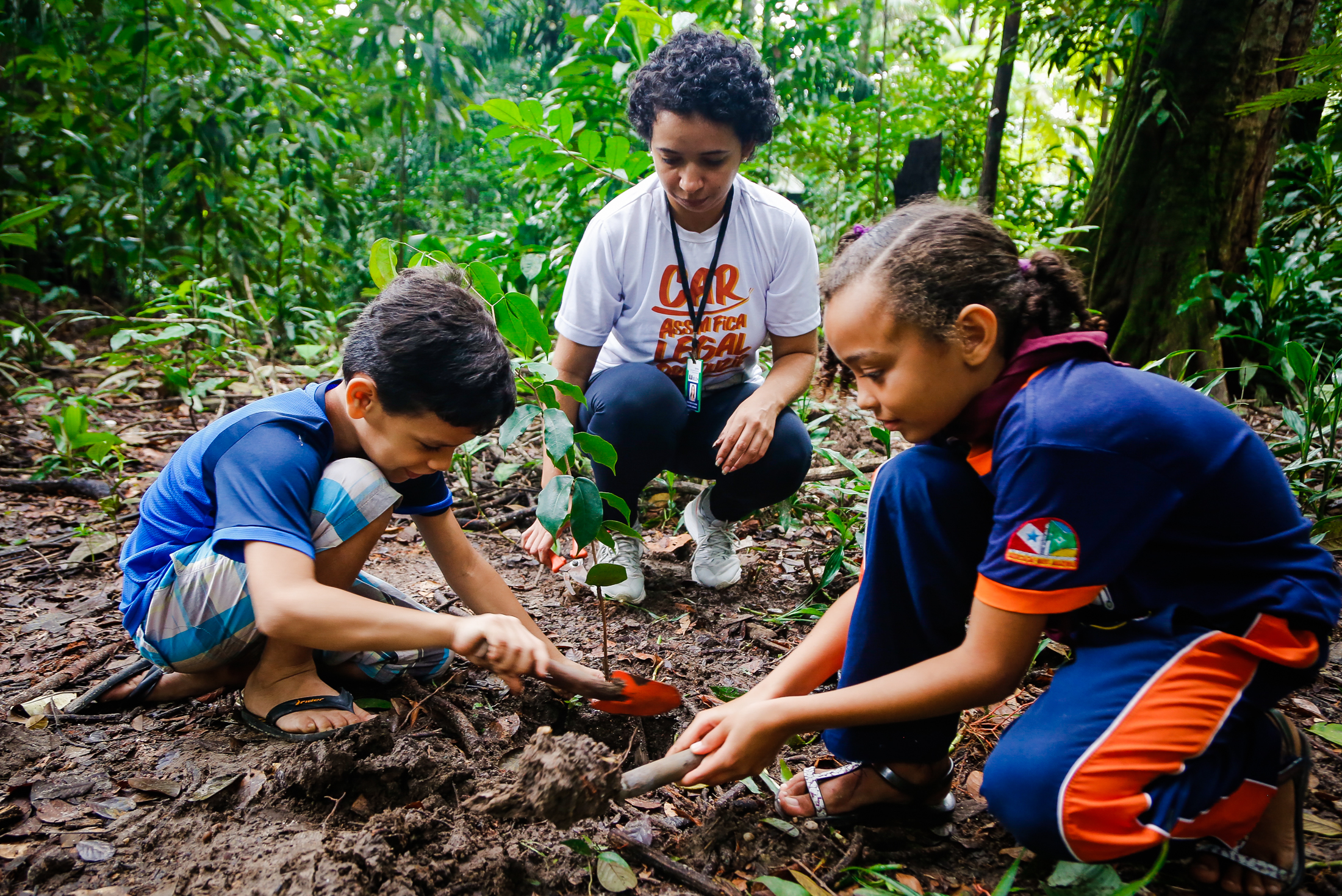Bosque Rodrigues Alves celebra o Dia da  Floresta e Dia da Água com programação  especial
