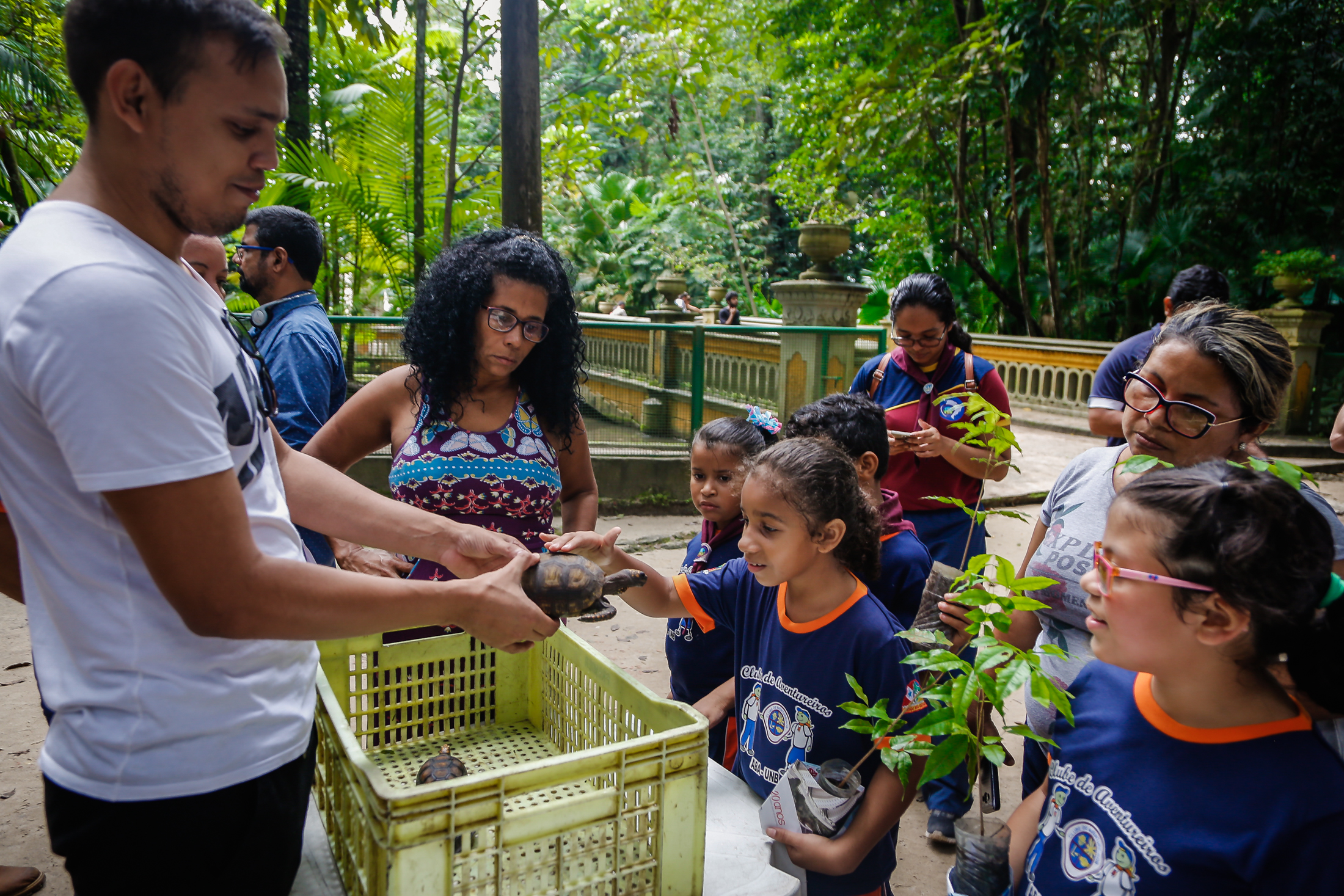 Bosque Rodrigues Alves celebra o Dia da  Floresta e Dia da Água com programação  especial