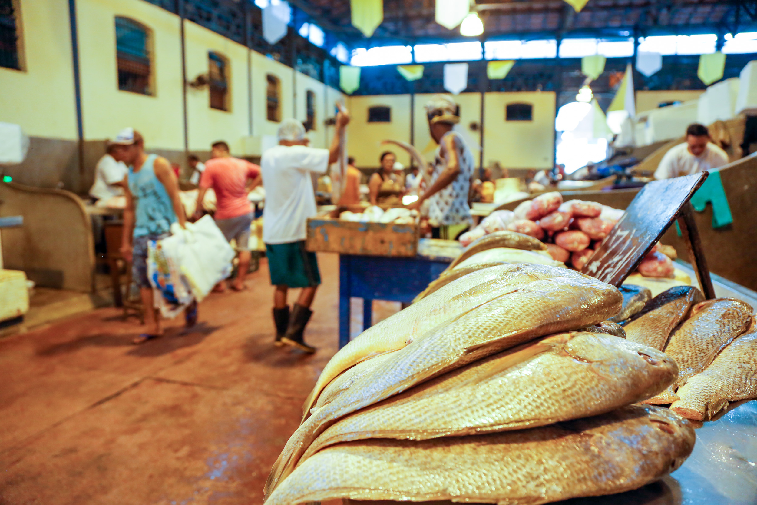 Preço do pescado cai nos mercados municipais de Belém