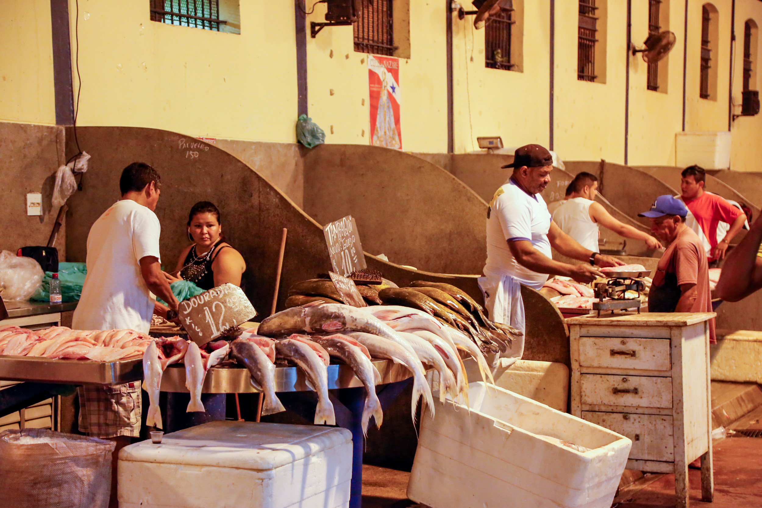 Preço do pescado cai nos mercados municipais de Belém